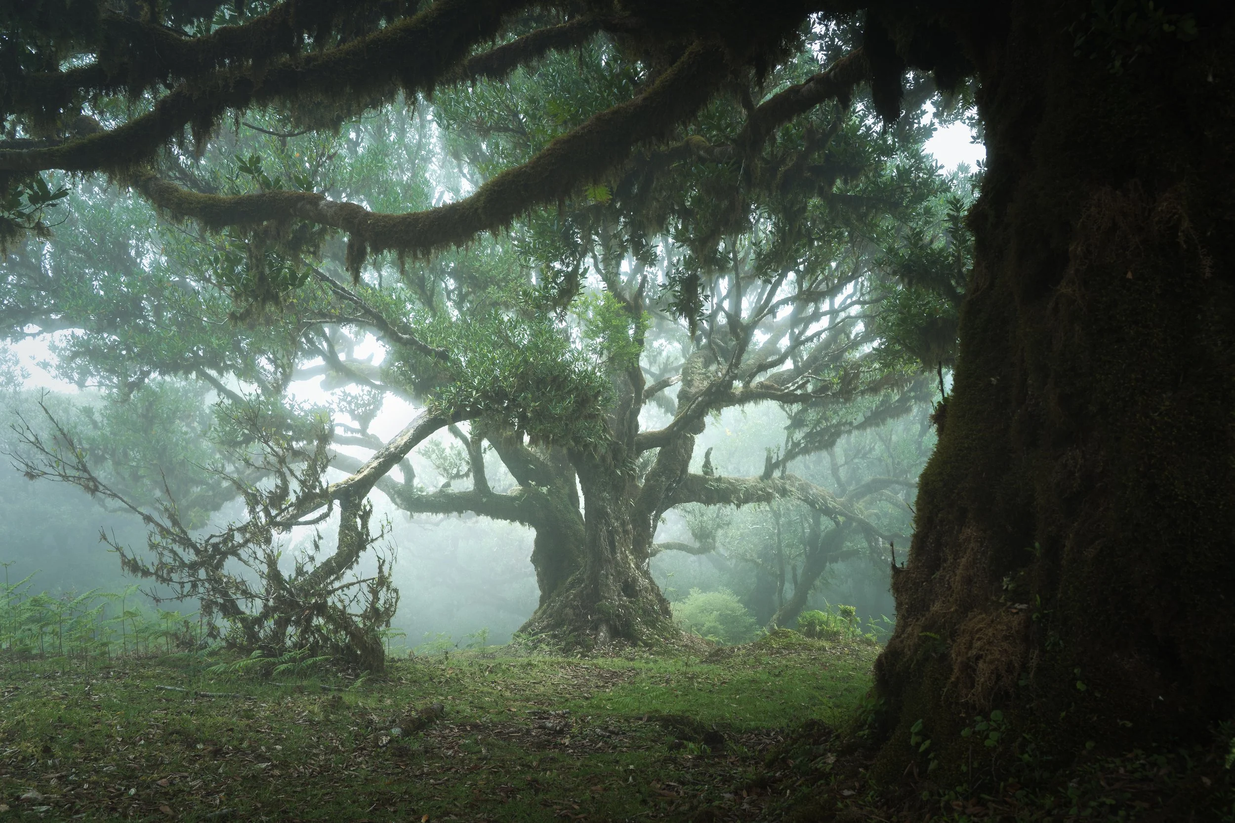 Portfolio Update -00480.jpg