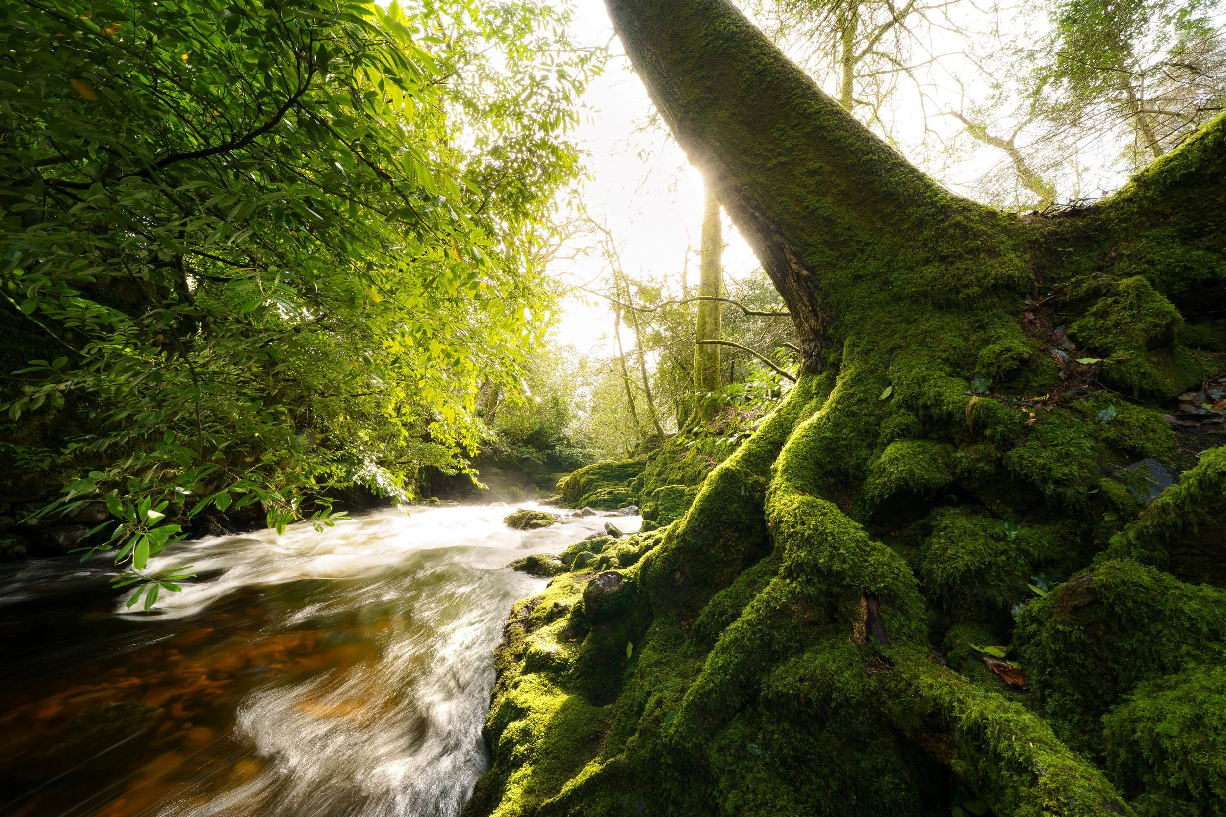 Portfolio Update -00319.jpg