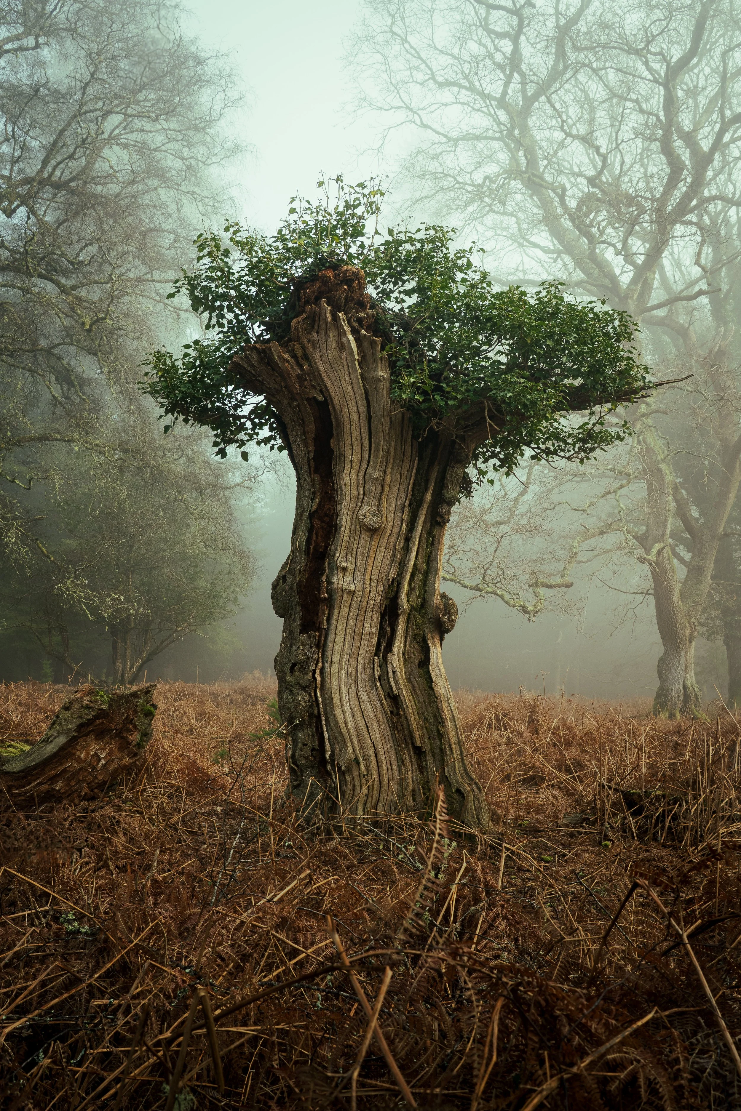 Portfolio Update -03956.jpg