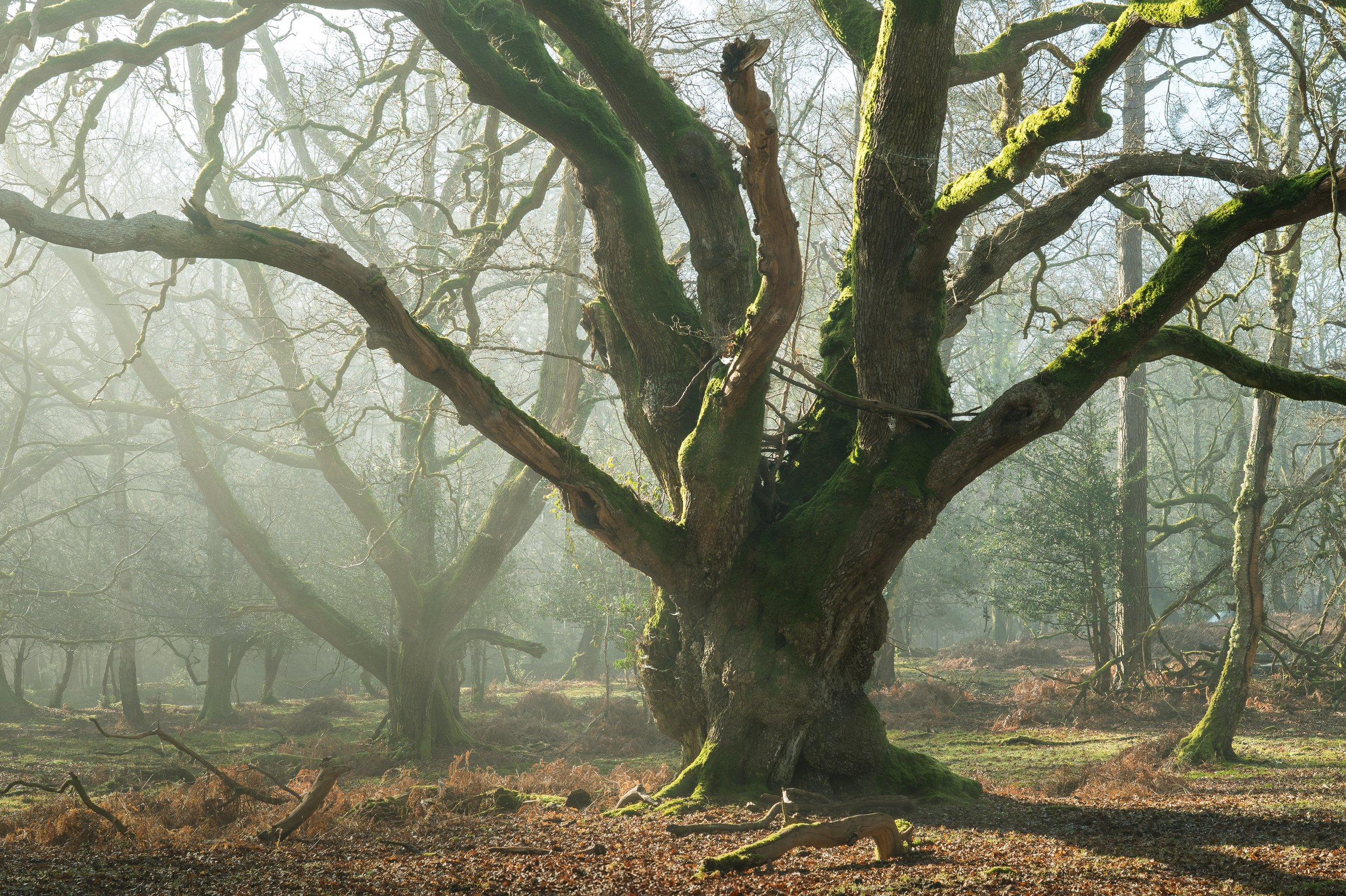 Portfolio Update -04129-2.jpg