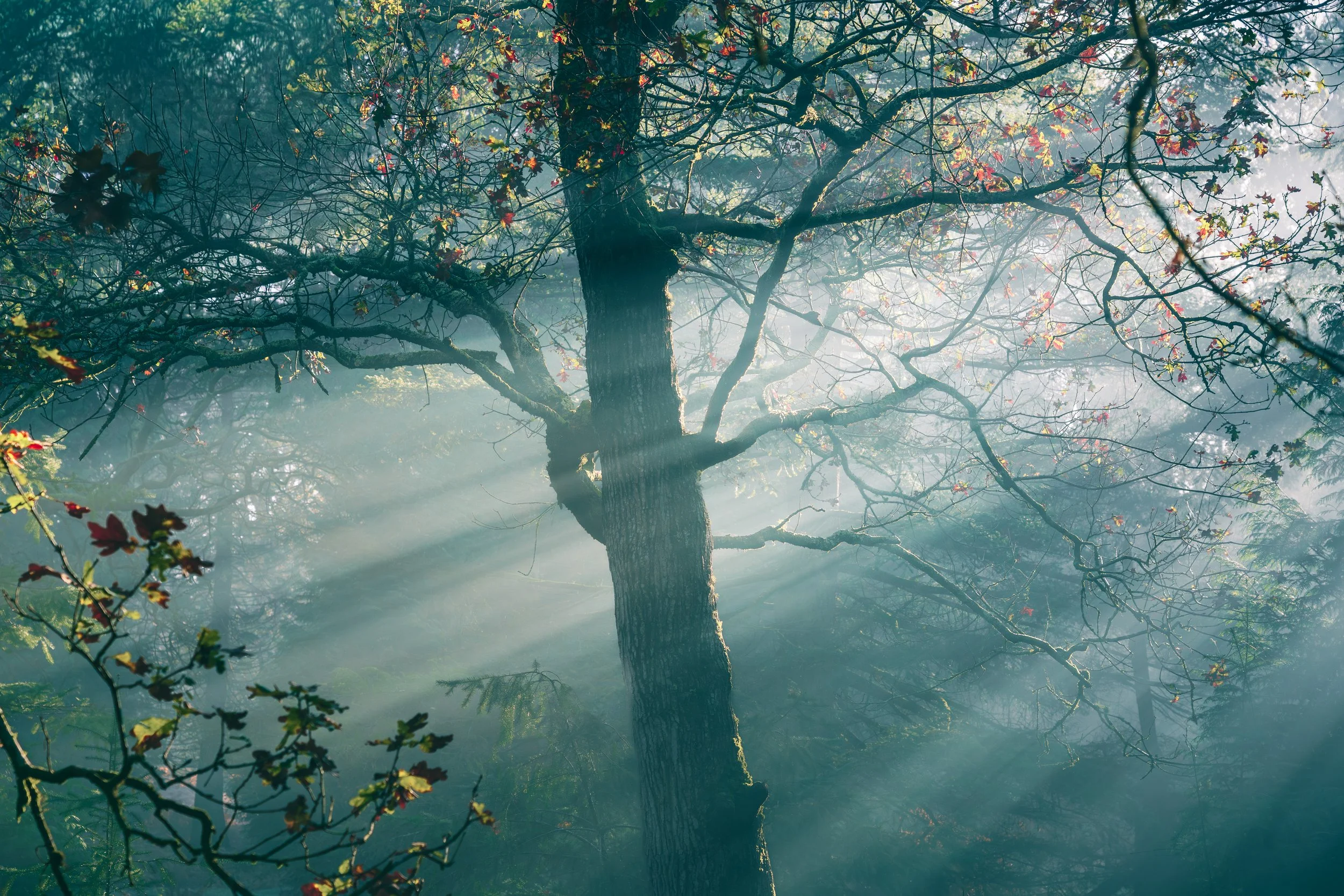 Portfolio Update -08840.jpg