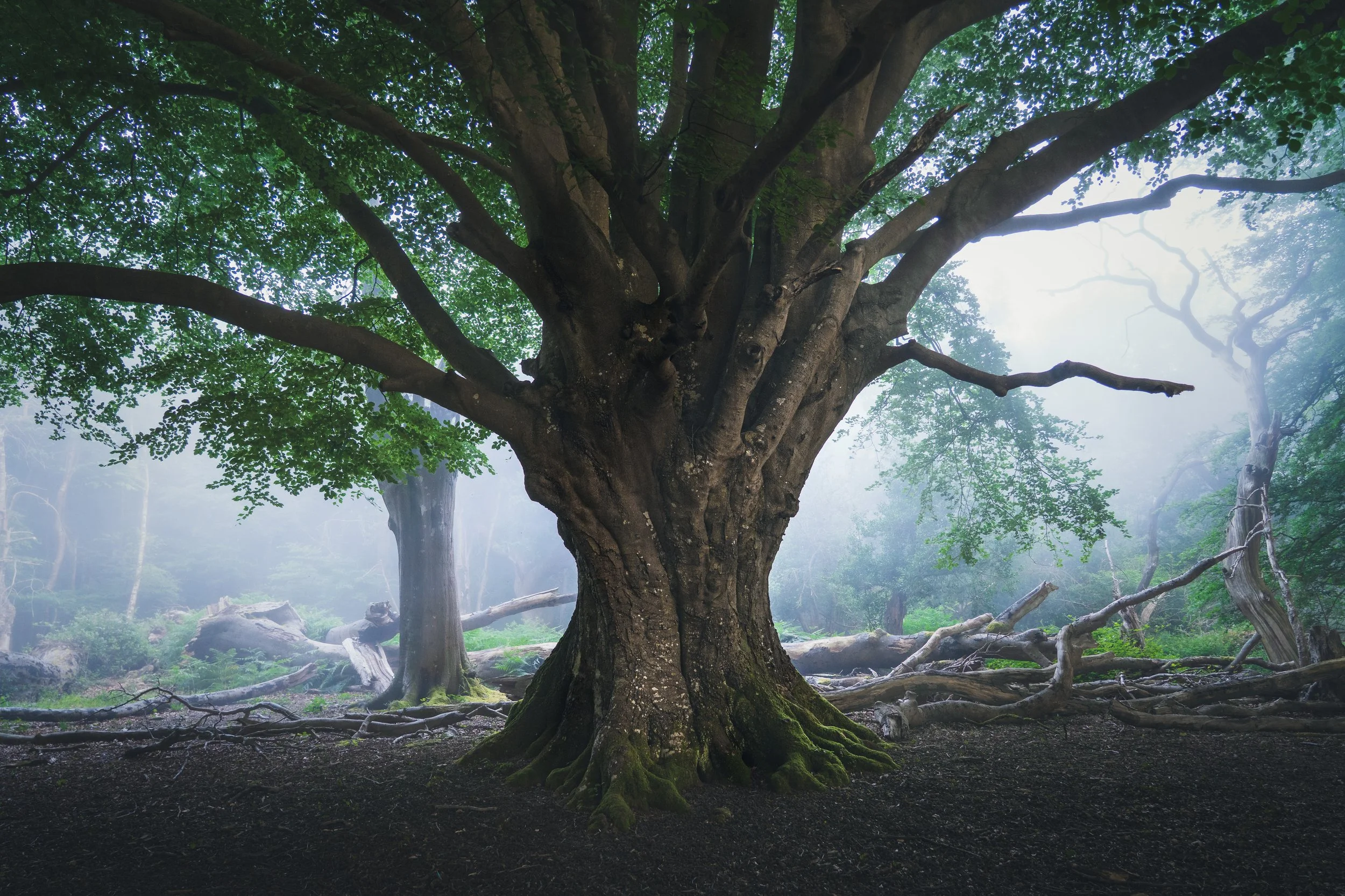 Portfolio Update -00043.jpg