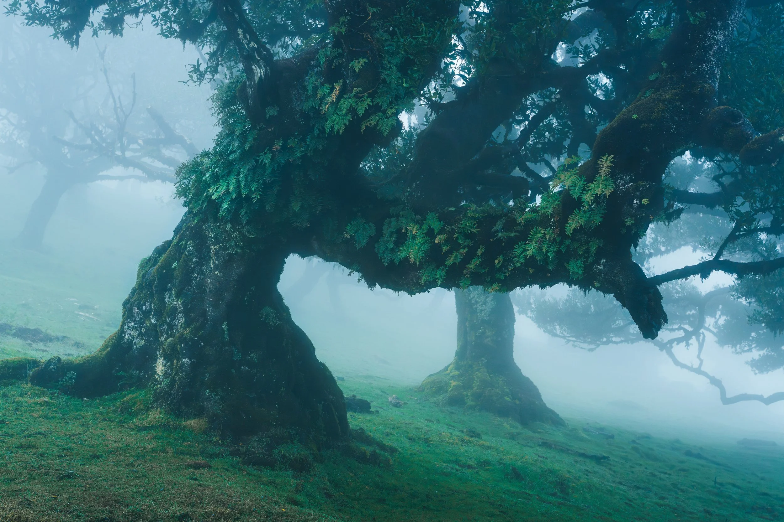 Portfolio Update -00884.jpg