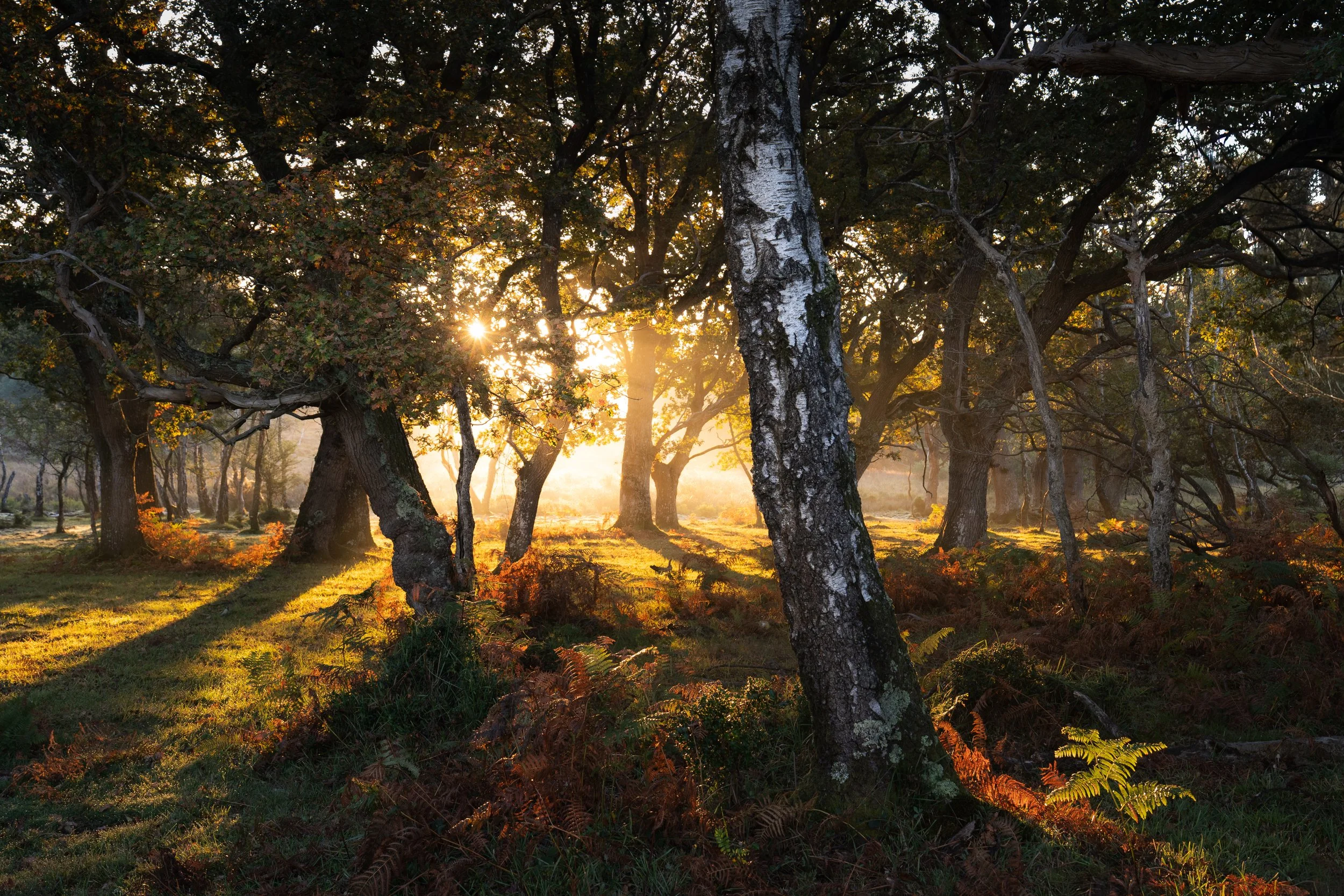 Lee Cooper 2026 Workshop image-9.jpg (Copy)