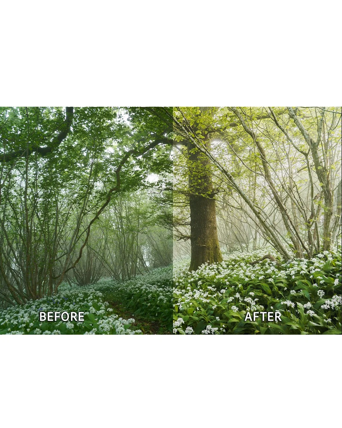 Before & After_0000_B&A 5.jpg