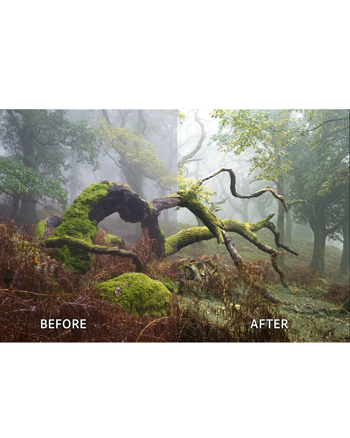 Before & After_0003_B&A 2.jpg