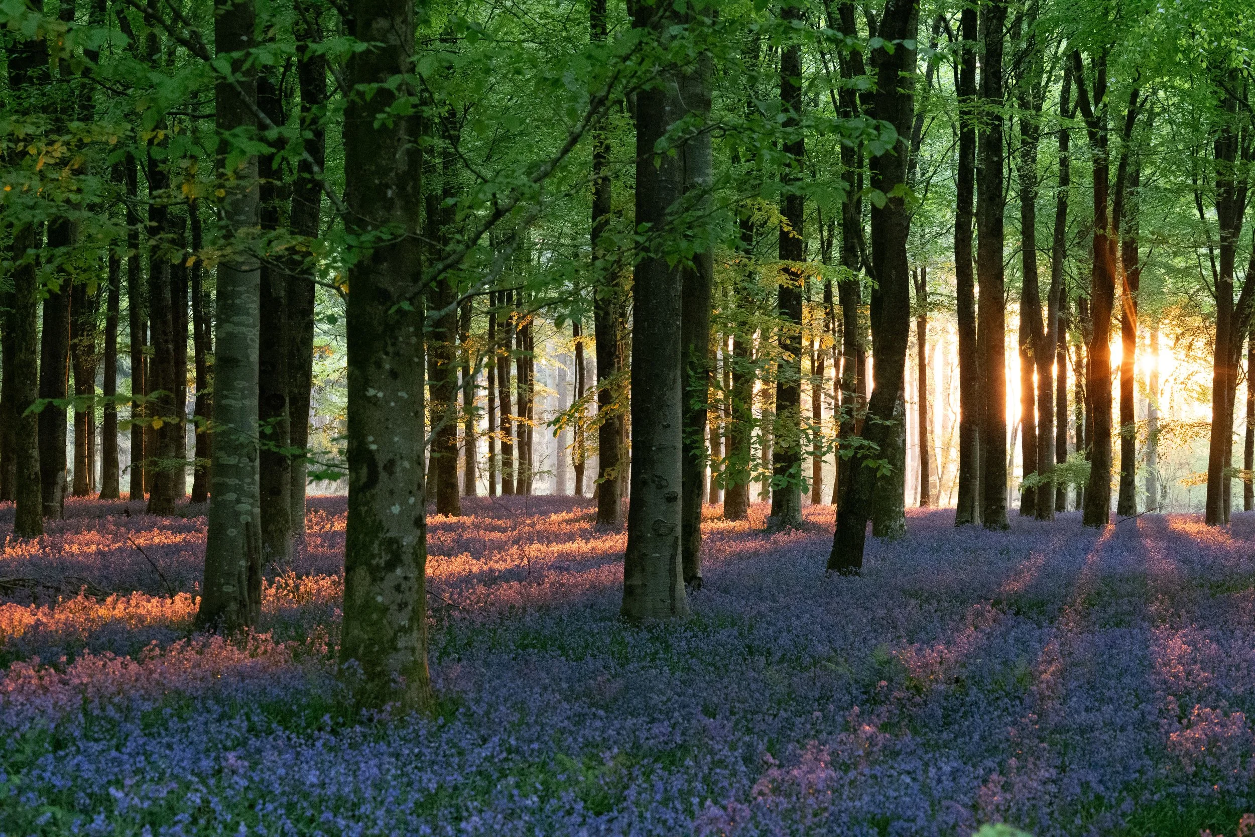 Portfolio Update -00010.jpg