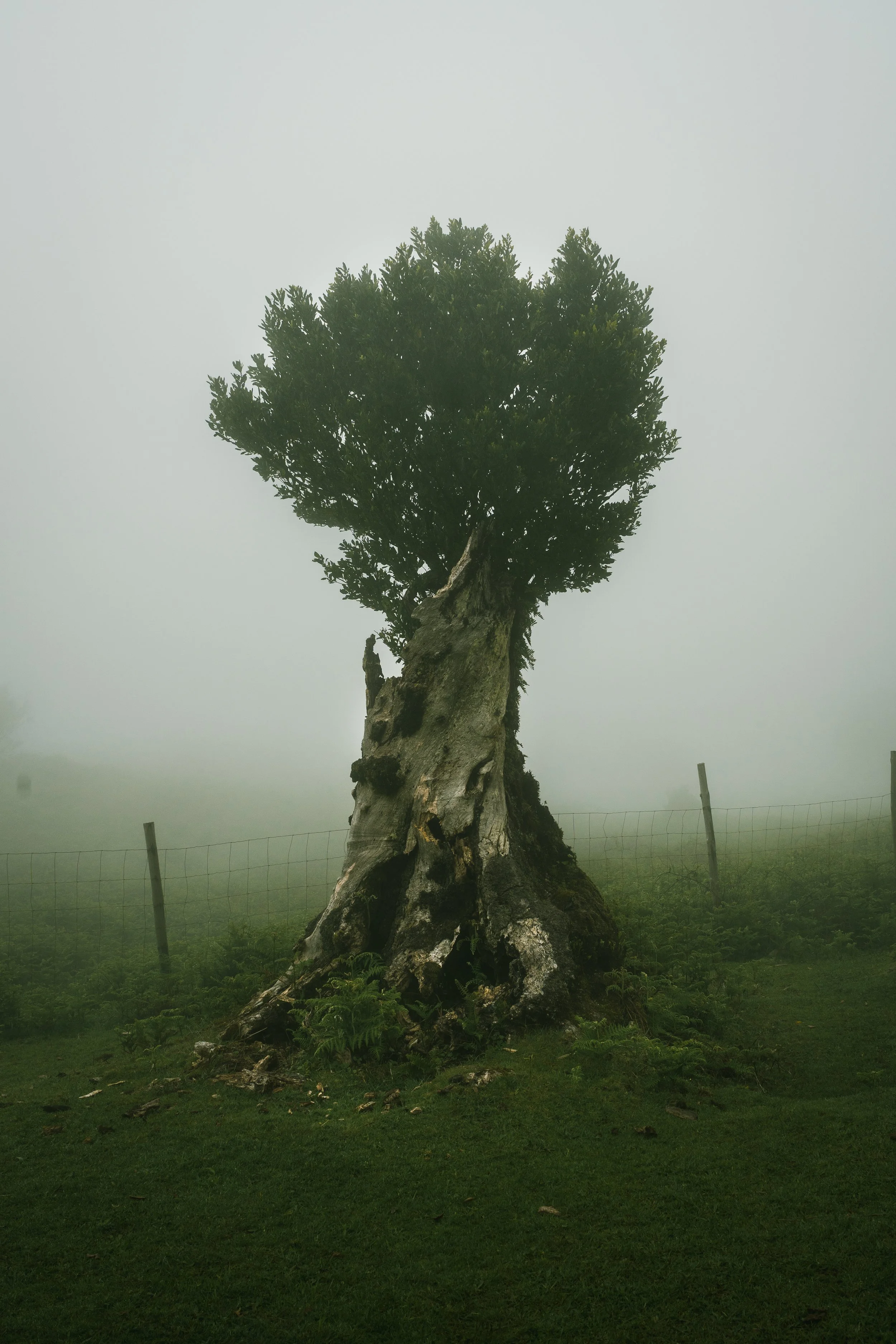 Portfolio Update -09924.jpg