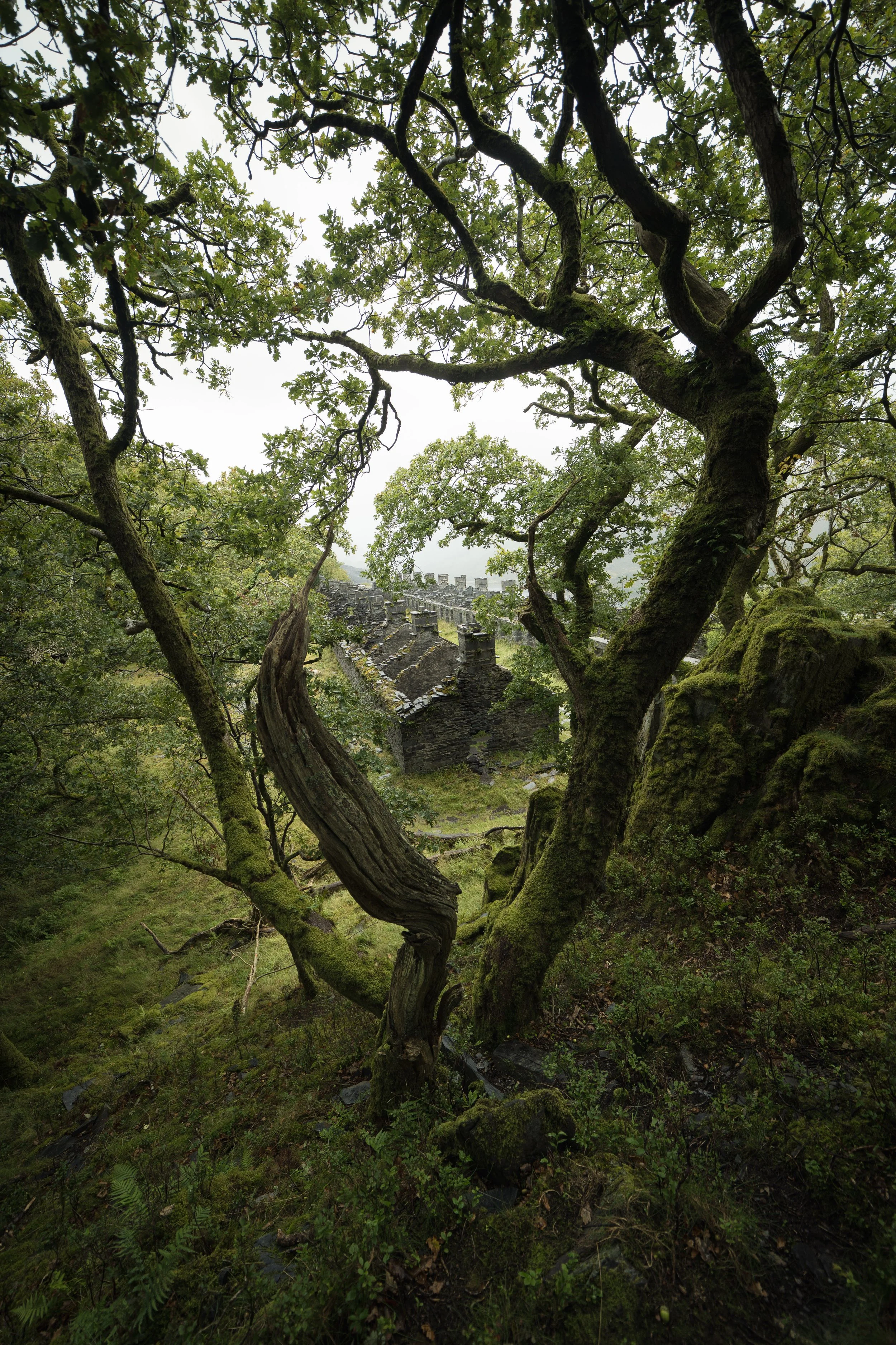 Portfolio Update -03406.jpg