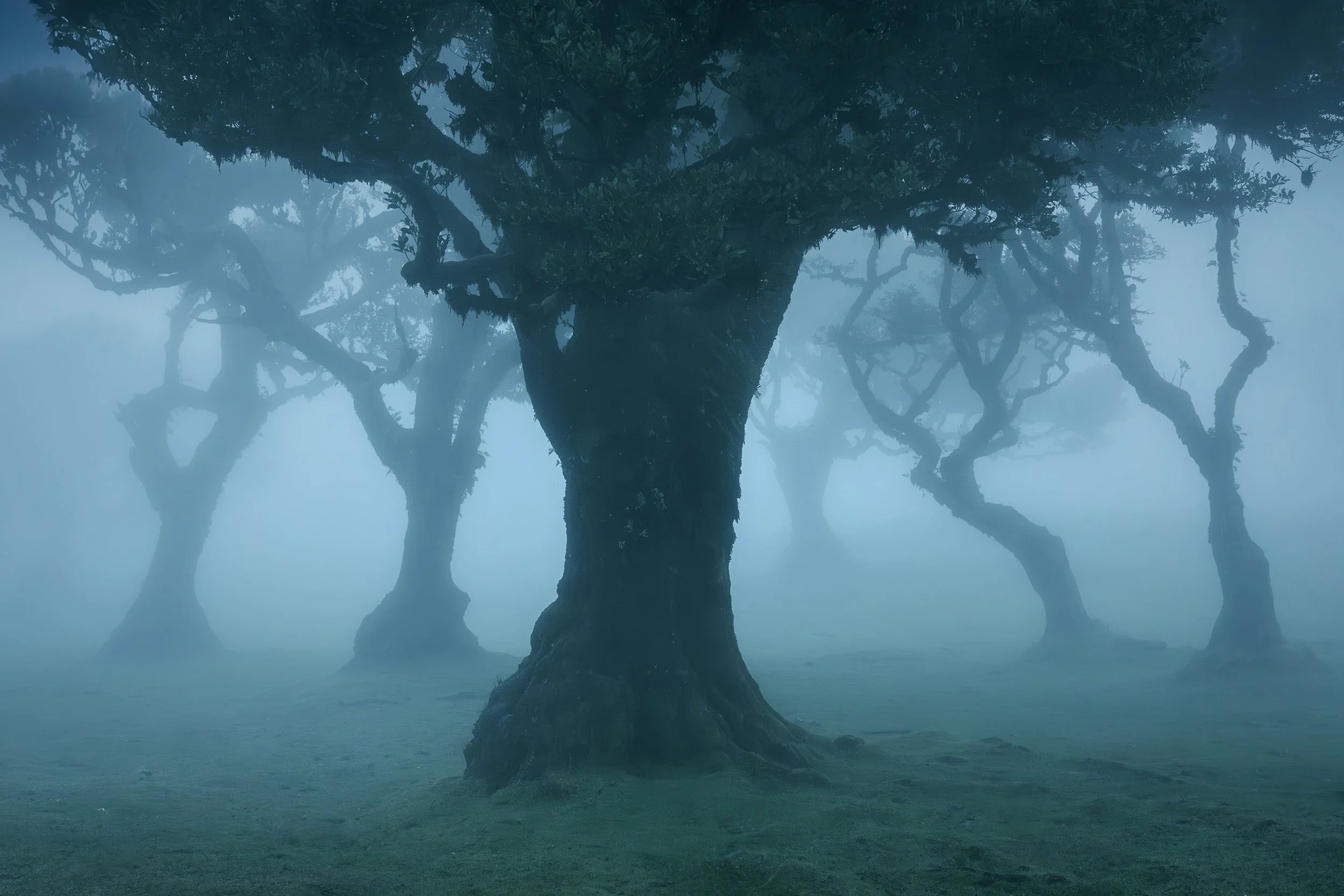 Portfolio Update -00824.jpg