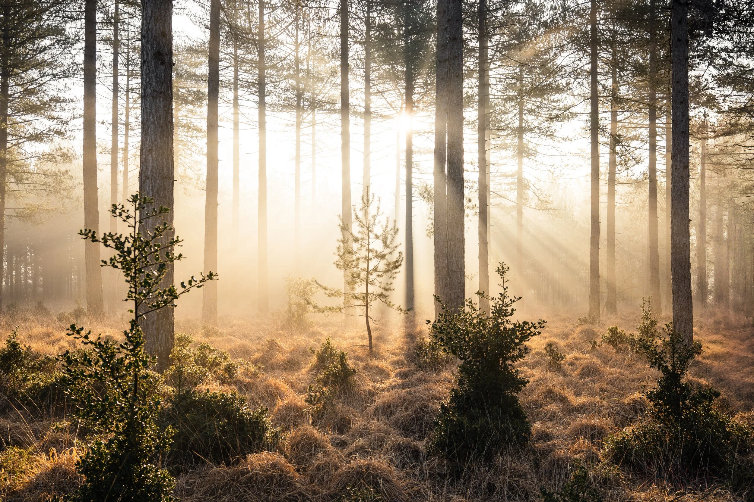 Portfolio Update -00050.jpg