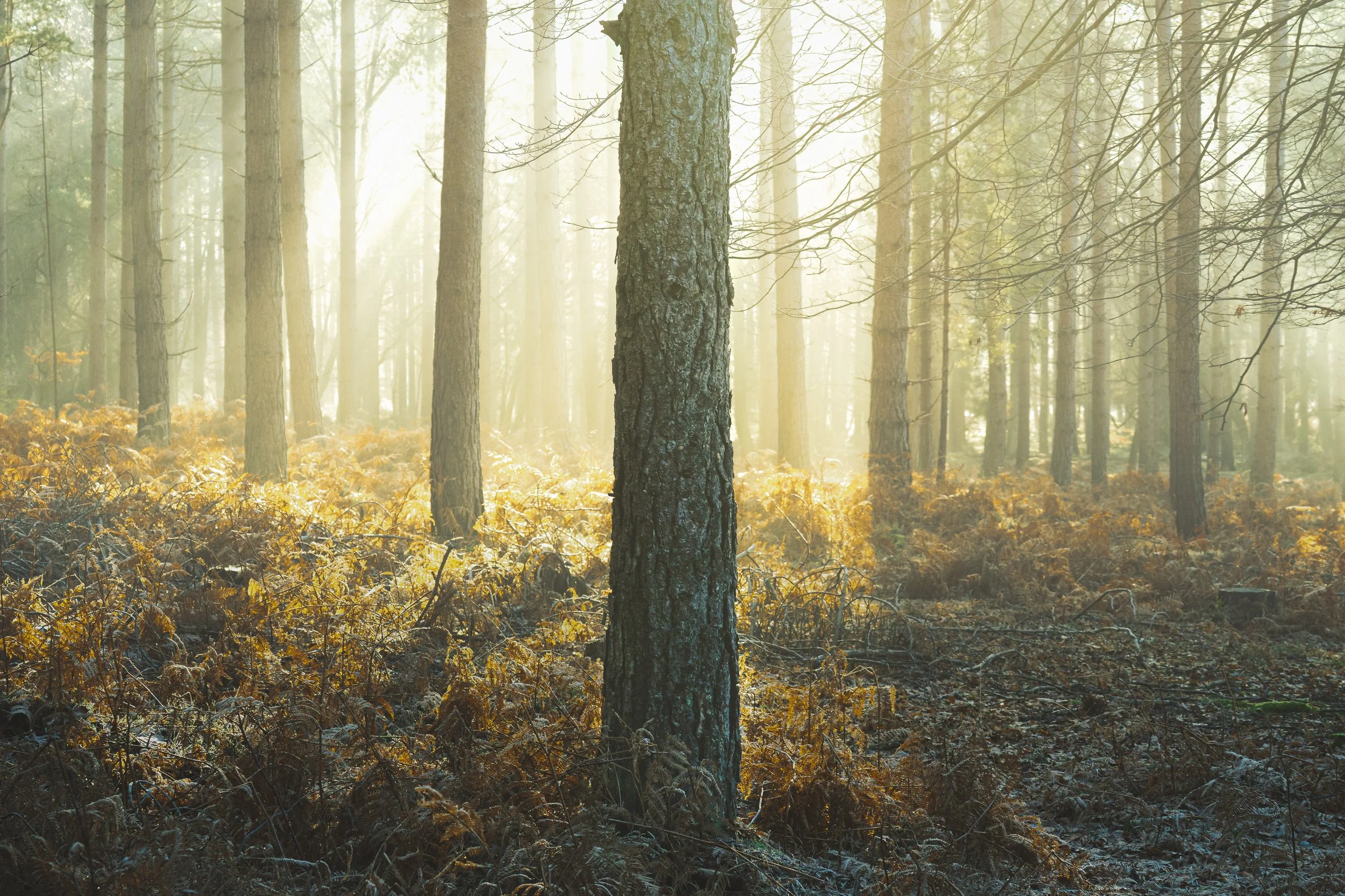 Portfolio Update -00093.jpg