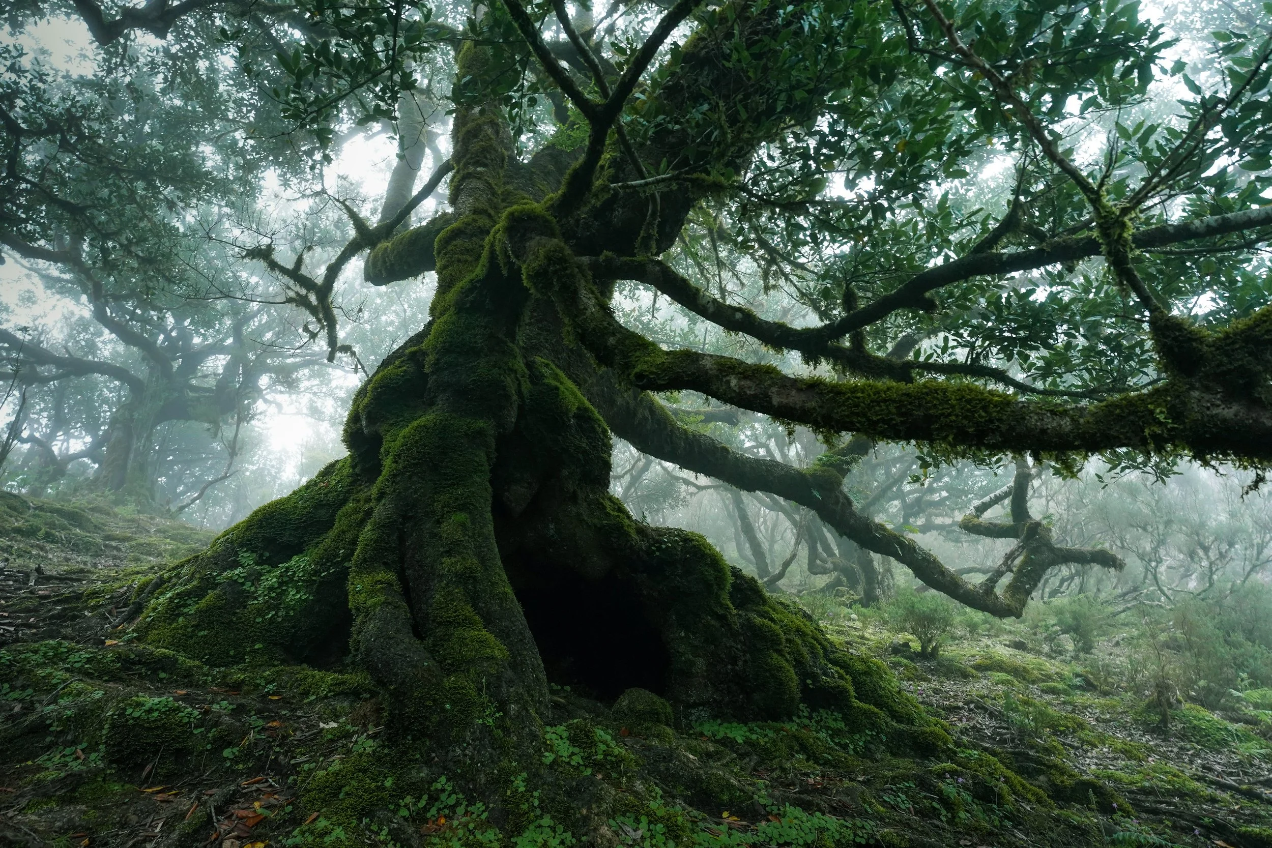 Portfolio Update -09701.jpg