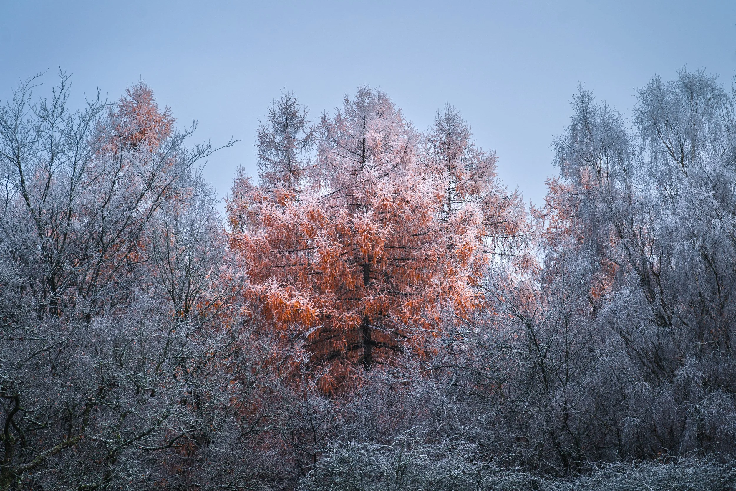 Portfolio Update -00156.jpg