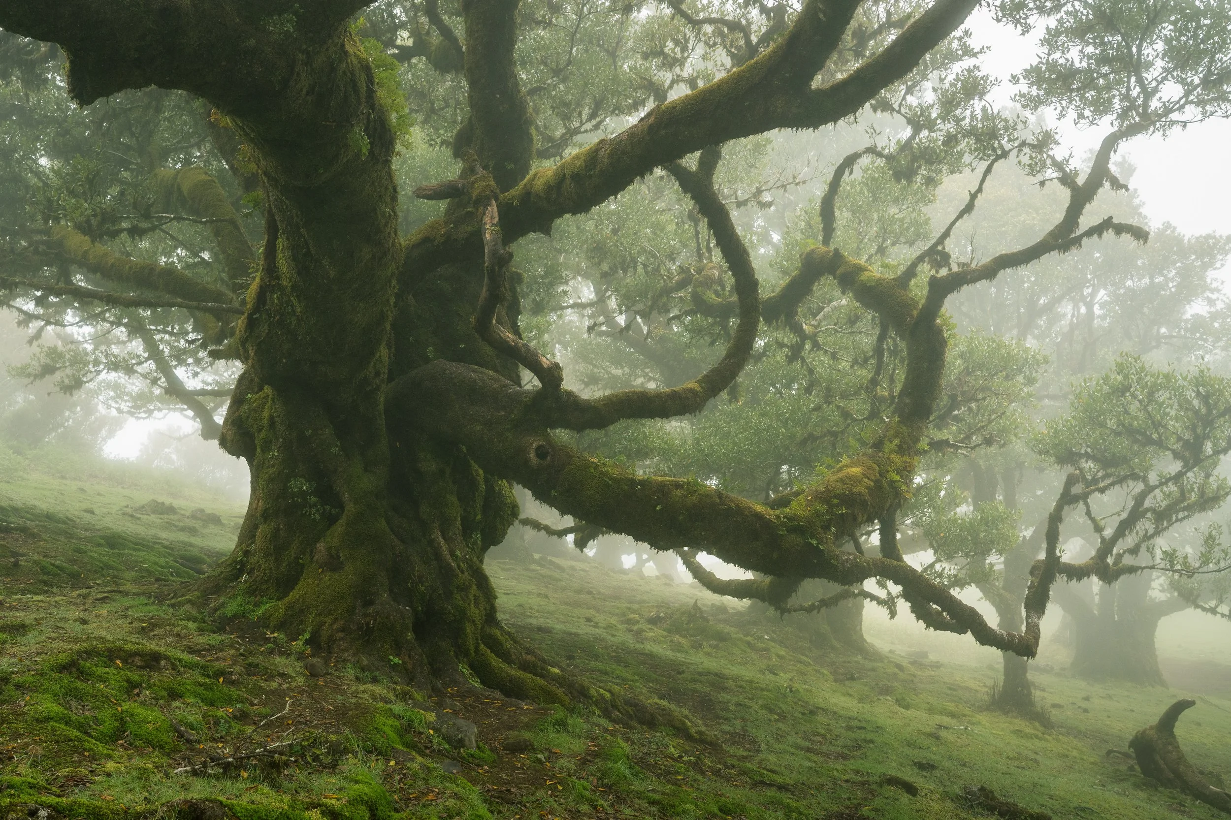 Portfolio Update -00188.jpg