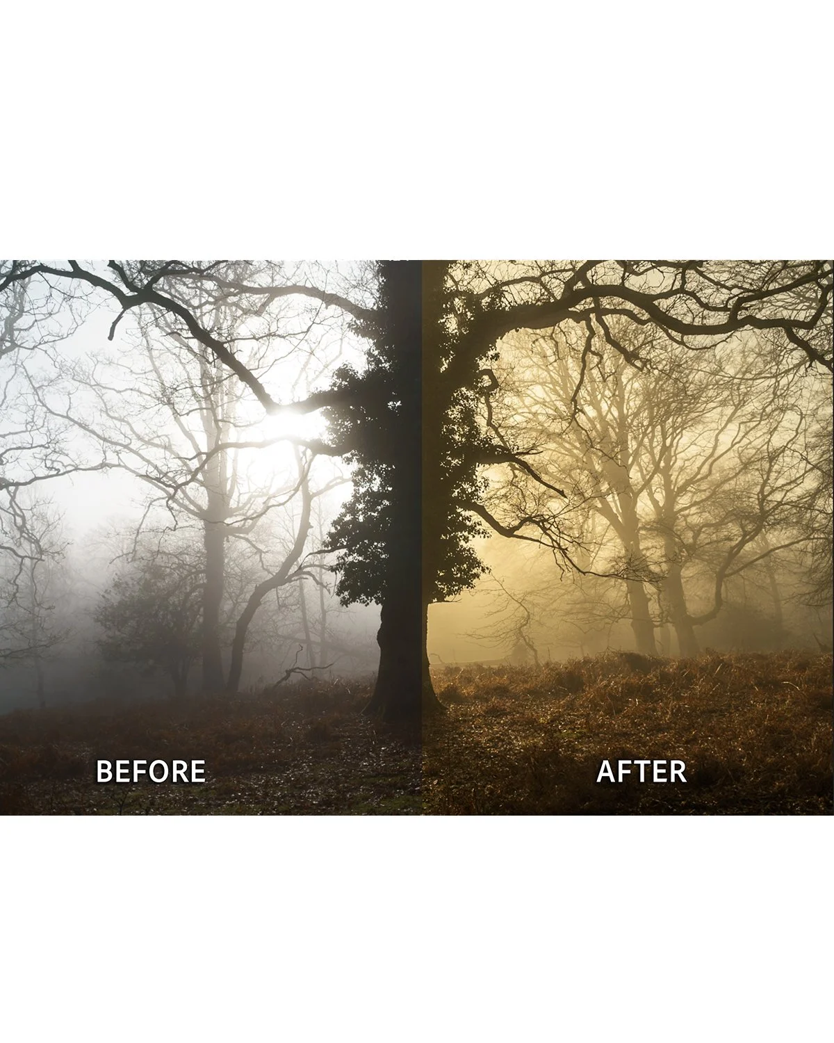 Before & After_0002_B&A 3.jpg