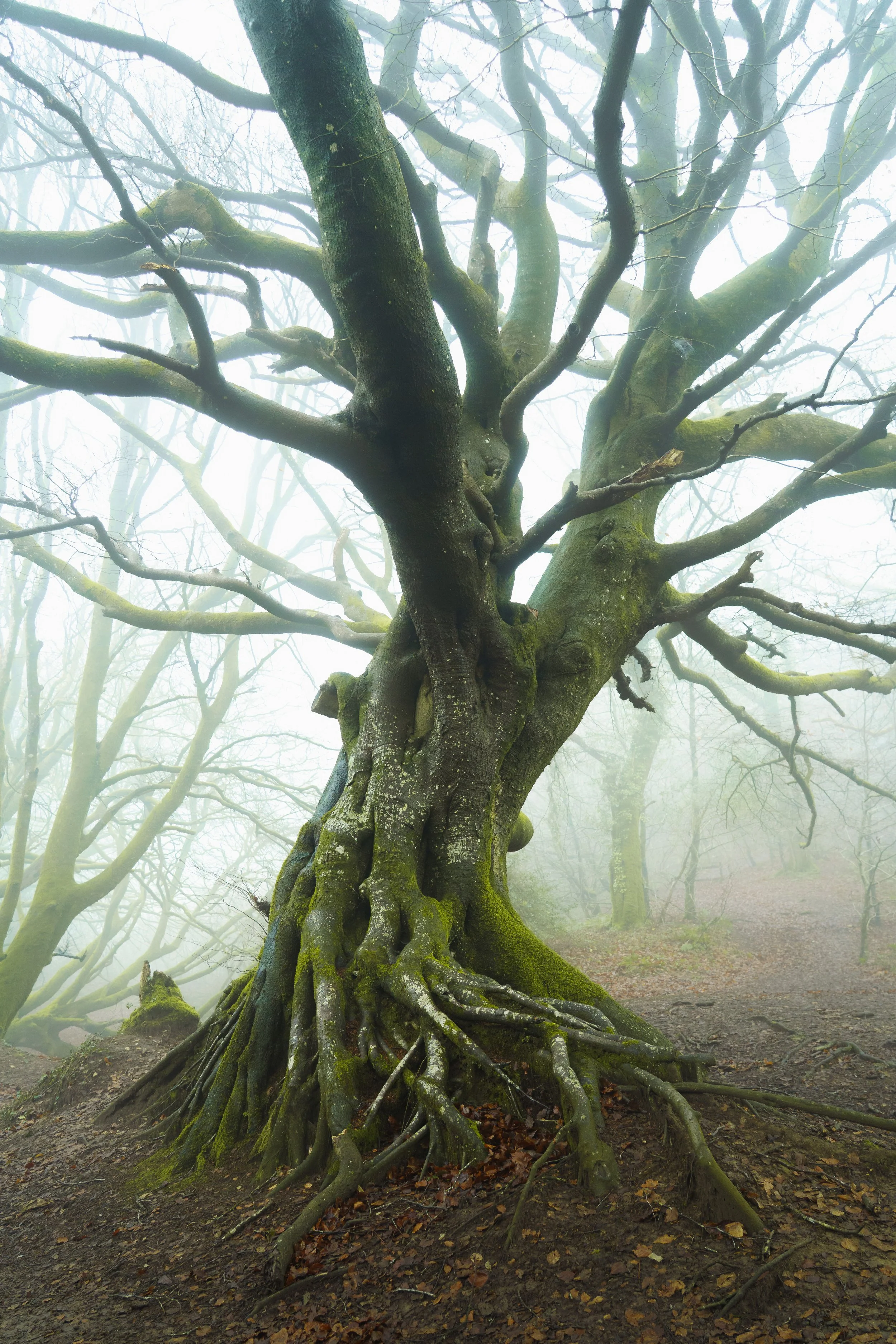 Portfolio Update -01022.jpg