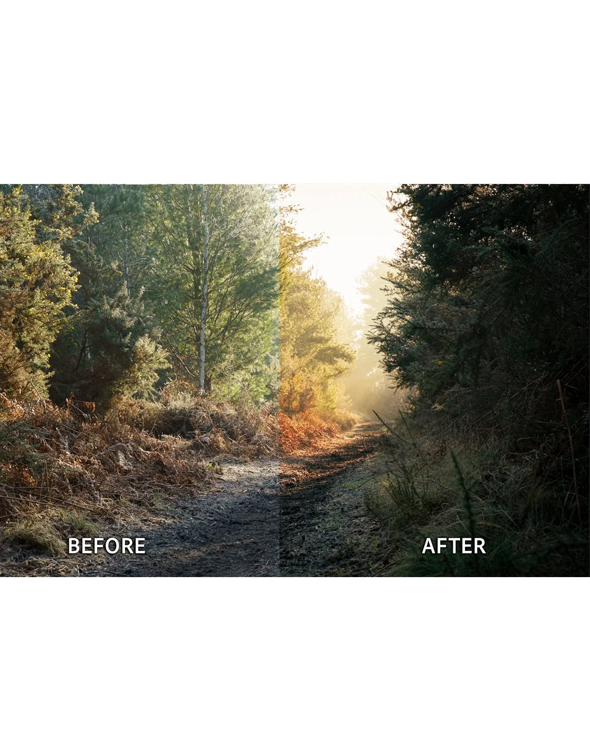 Before & After_0001_B&A 4.jpg