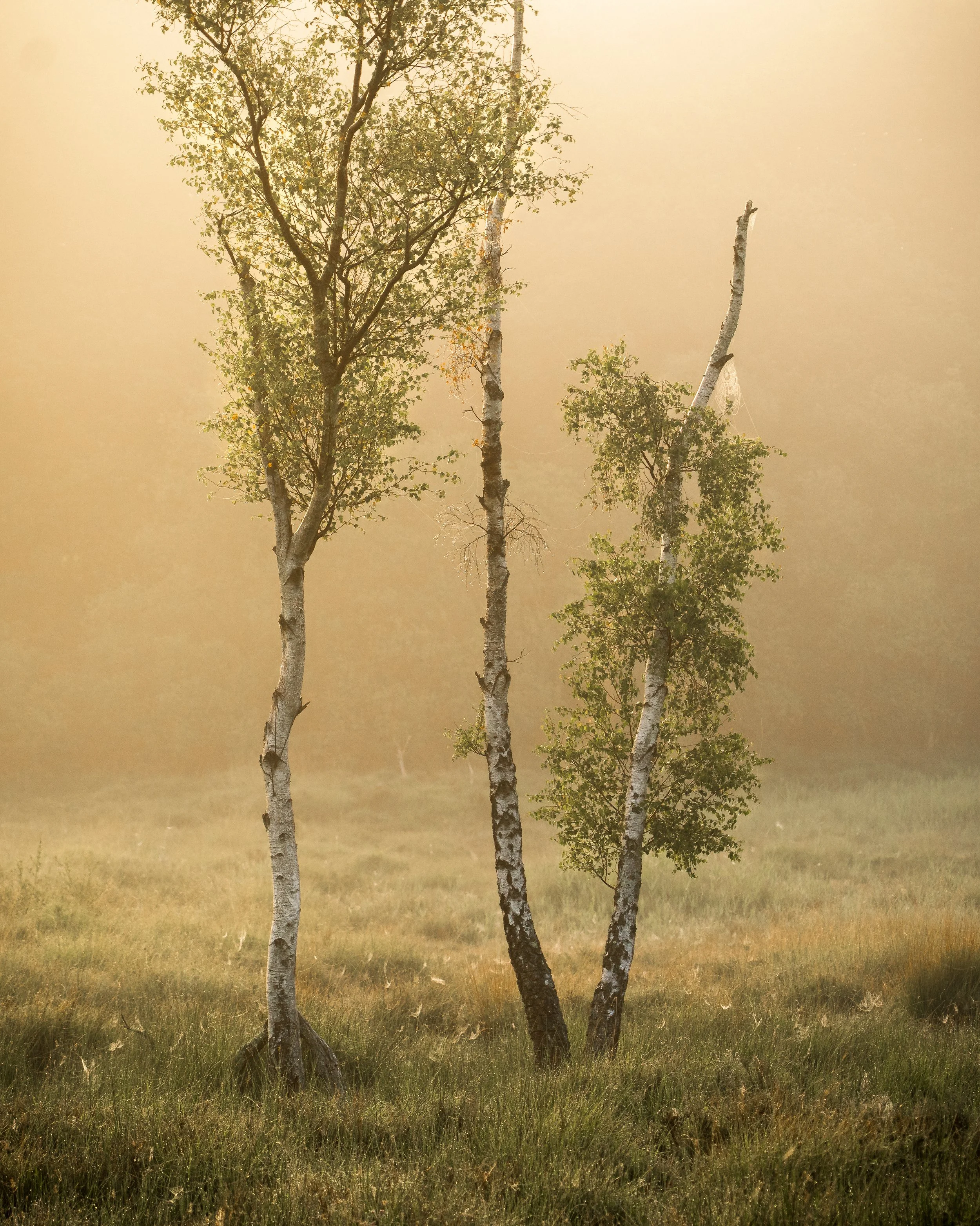 Portfolio Update -00073.jpg