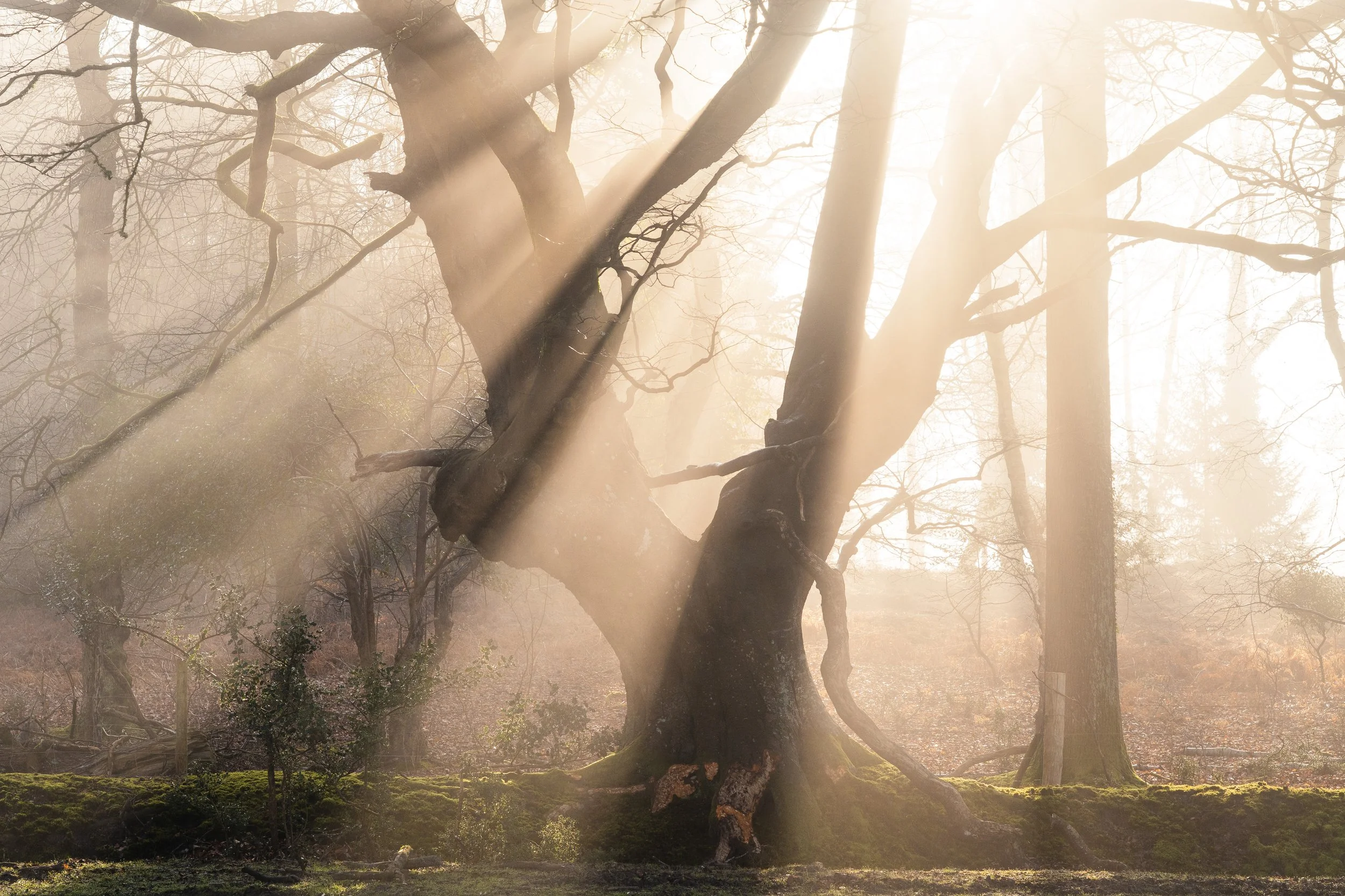 Portfolio Update -03991.jpg