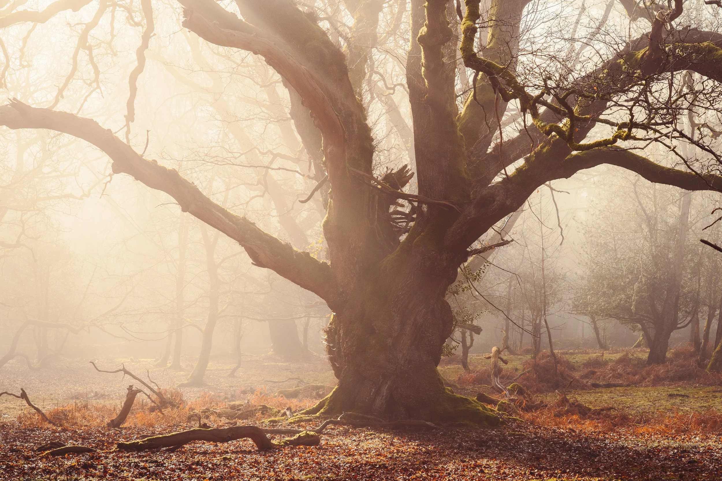 Portfolio Update -04101.jpg