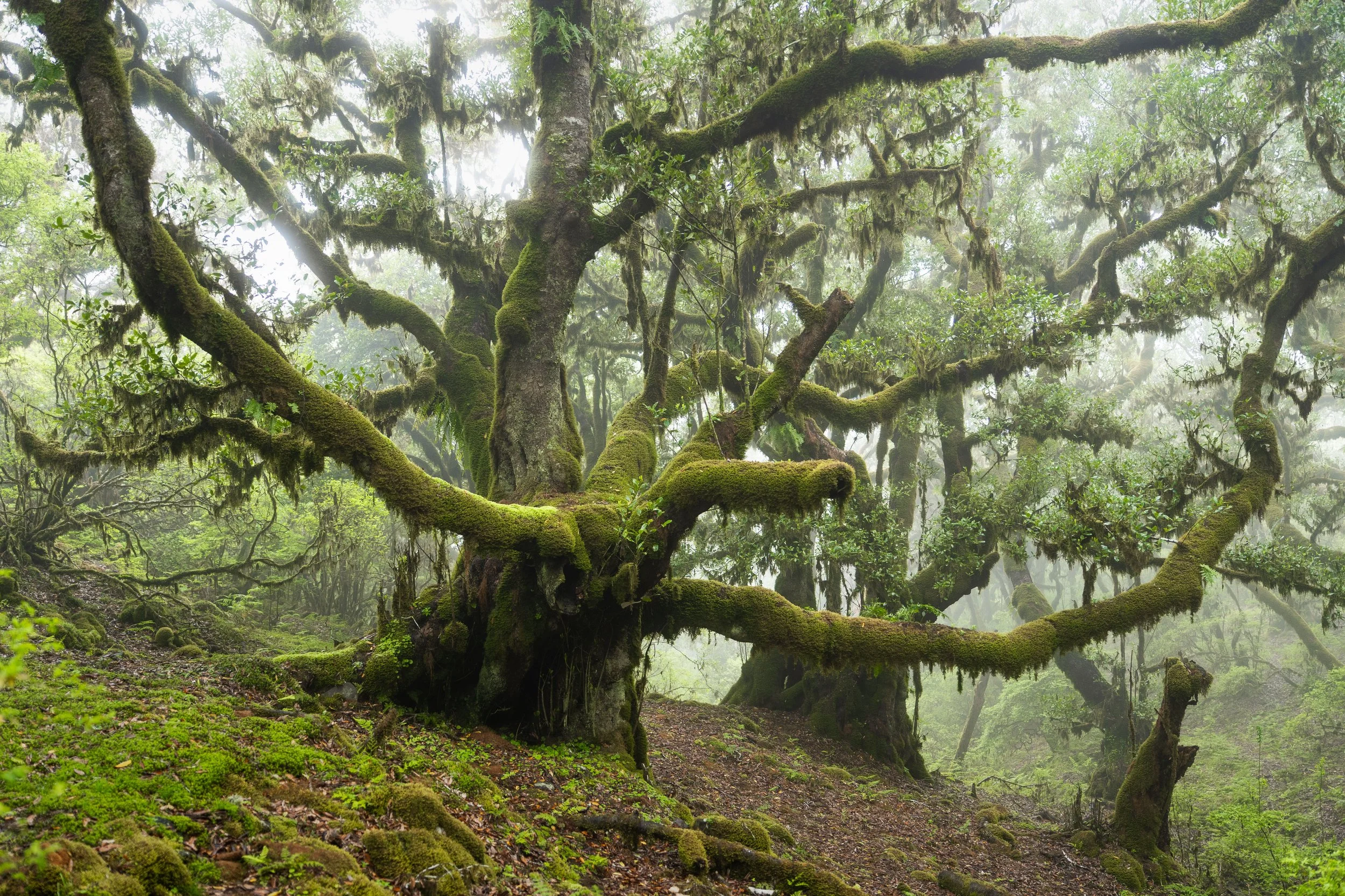 Portfolio Update -01189.jpg