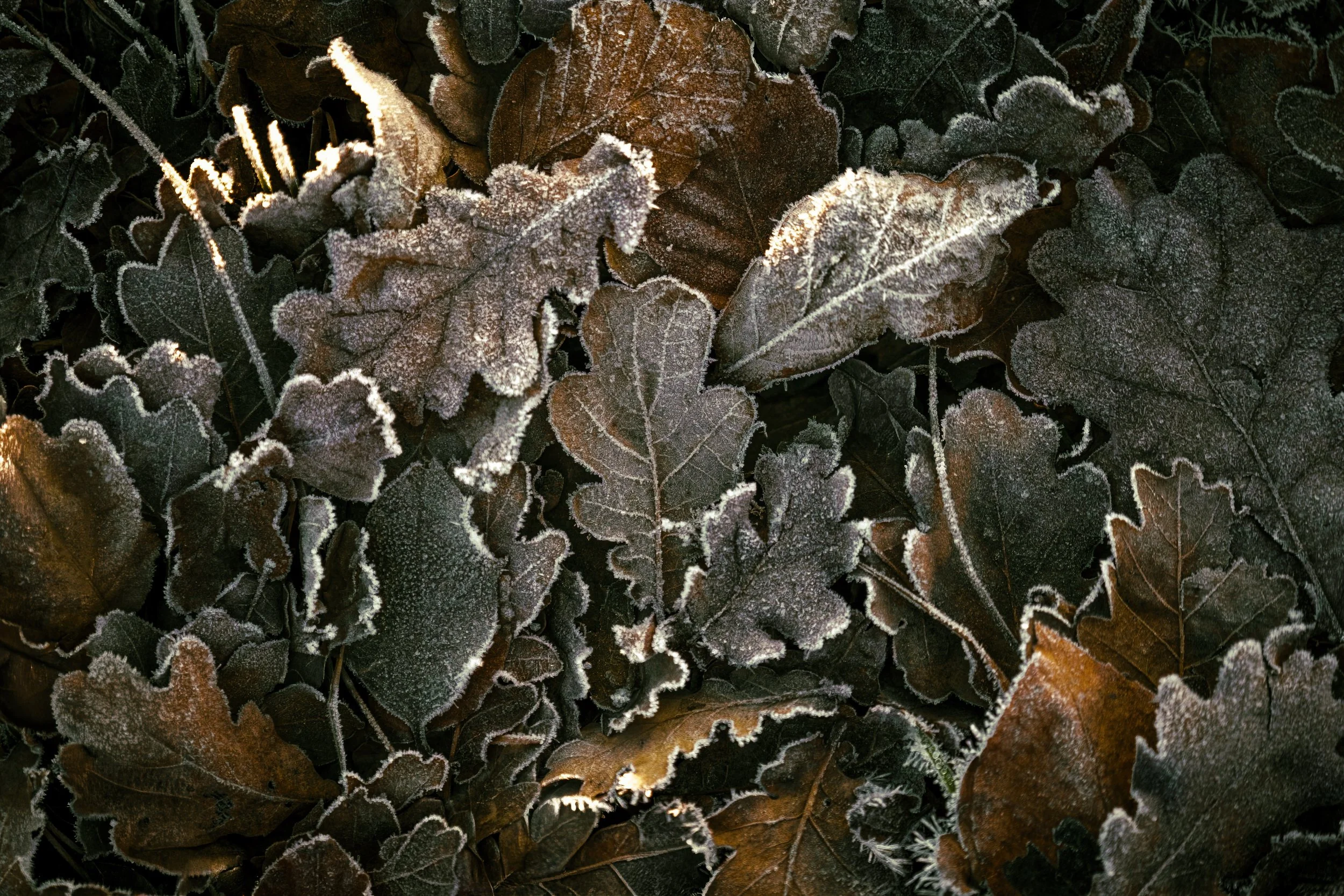 Portfolio Update -00018.jpg