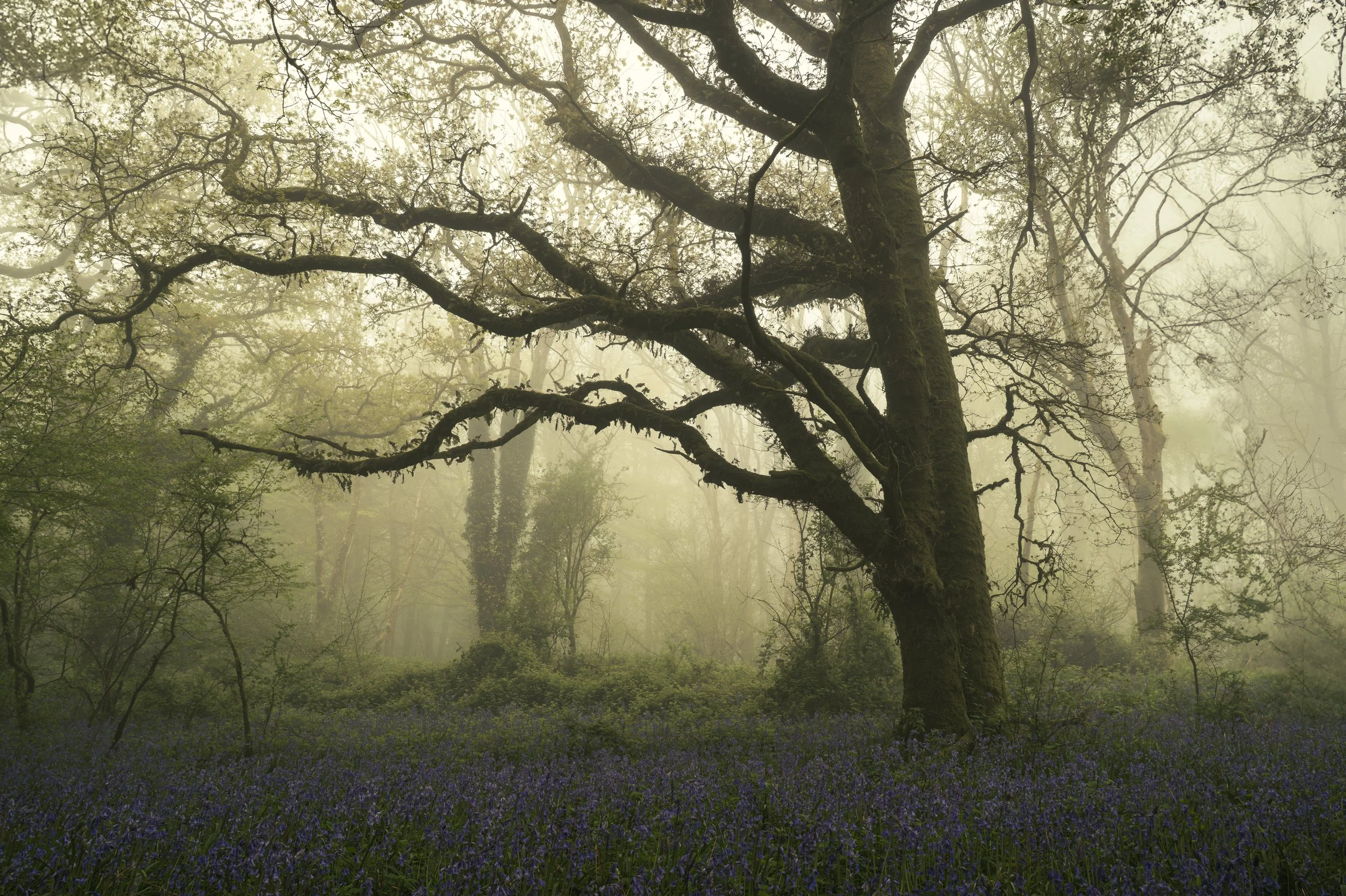 Portfolio Update -00638.jpg