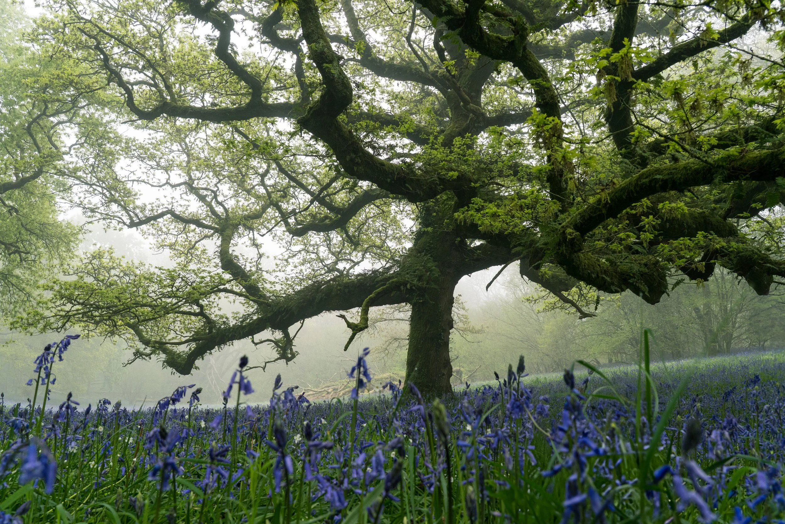 Portfolio Update -01096.jpg