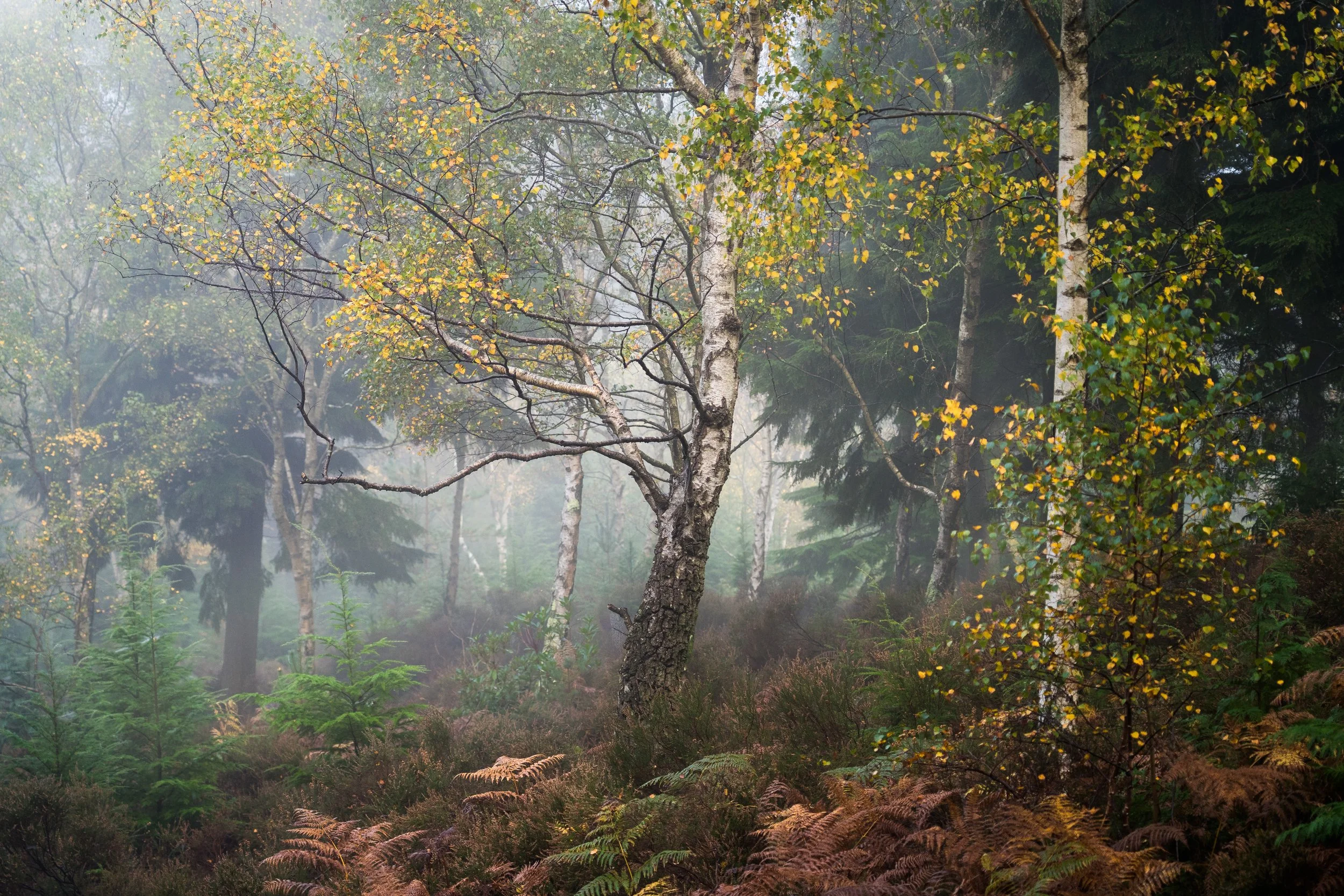 Portfolio Update -08173.jpg