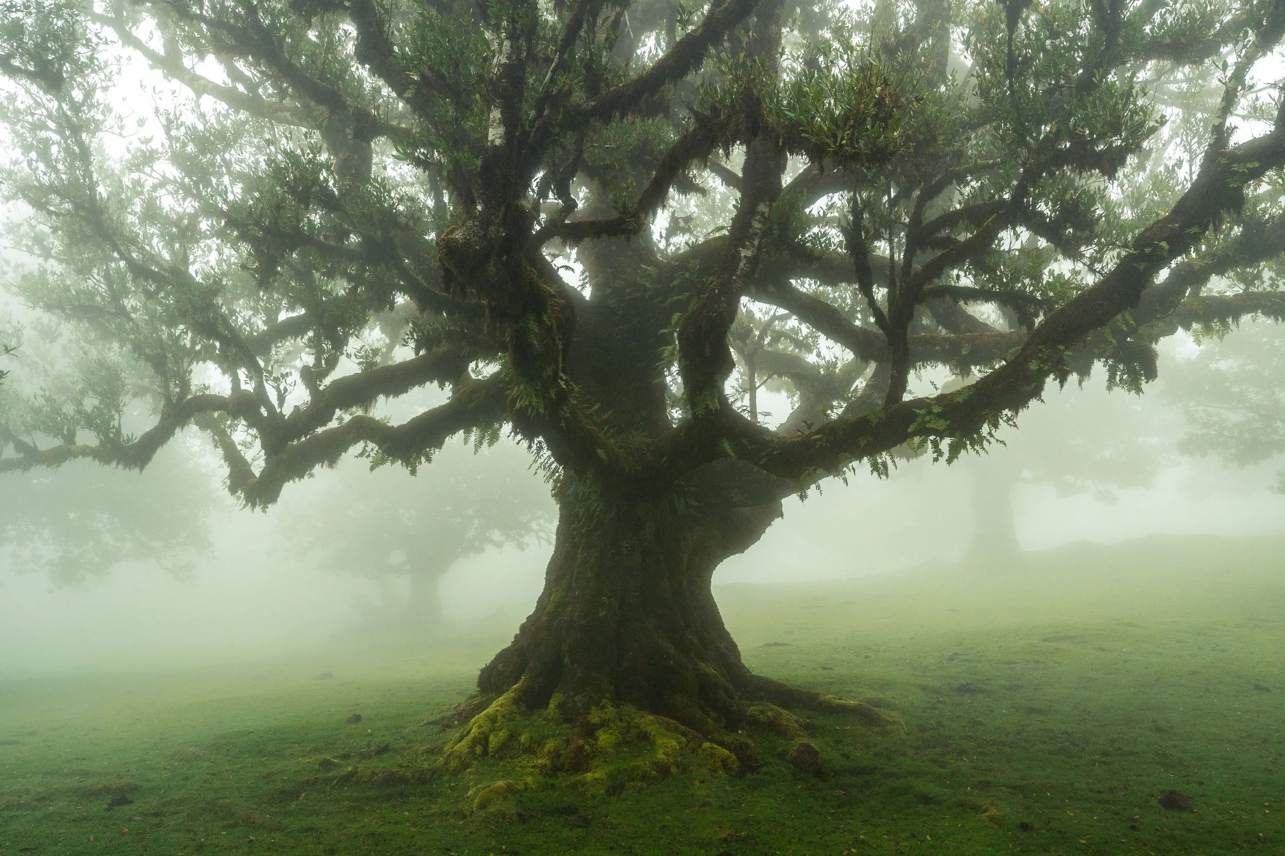 Portfolio Update -09629.jpg