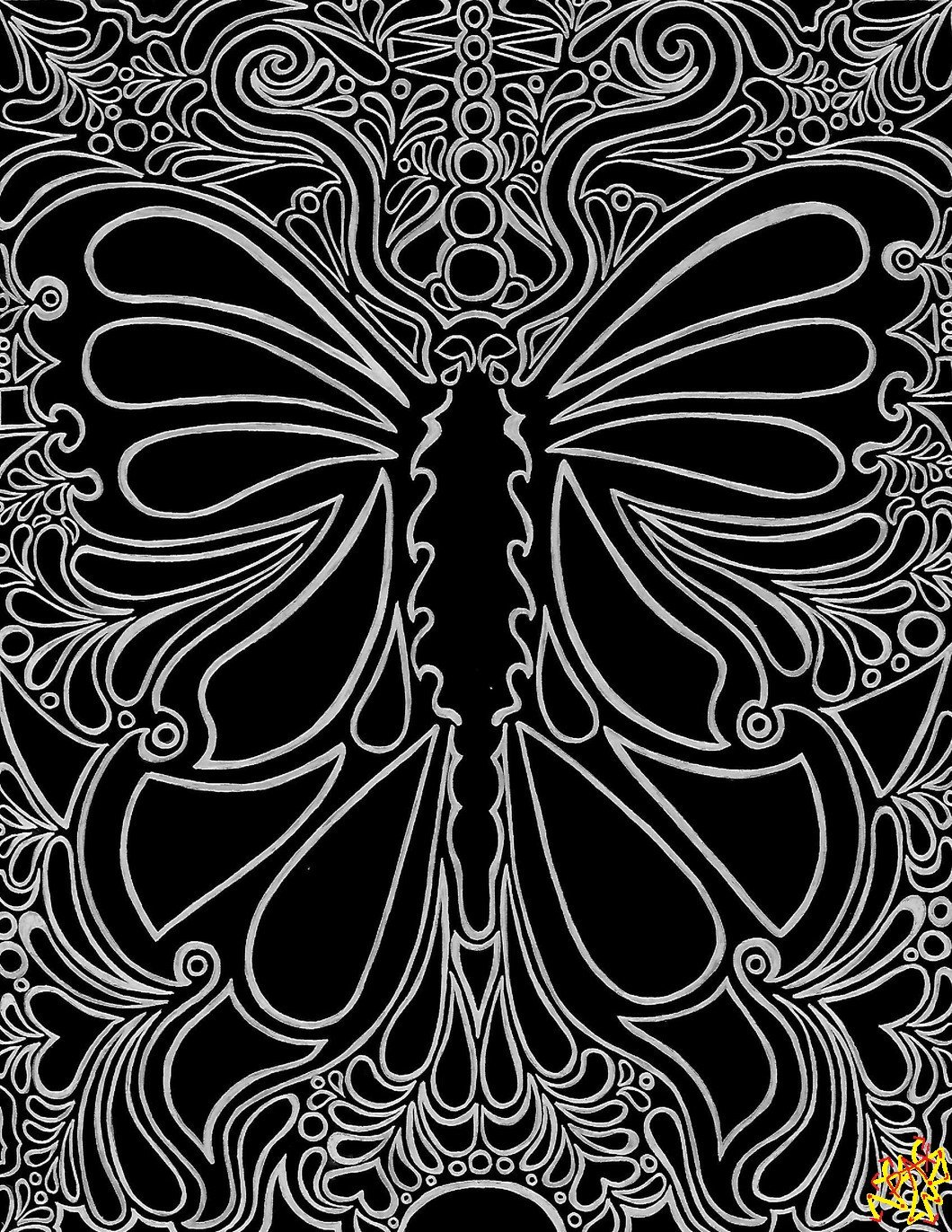 Intricate butterfly line art on black background