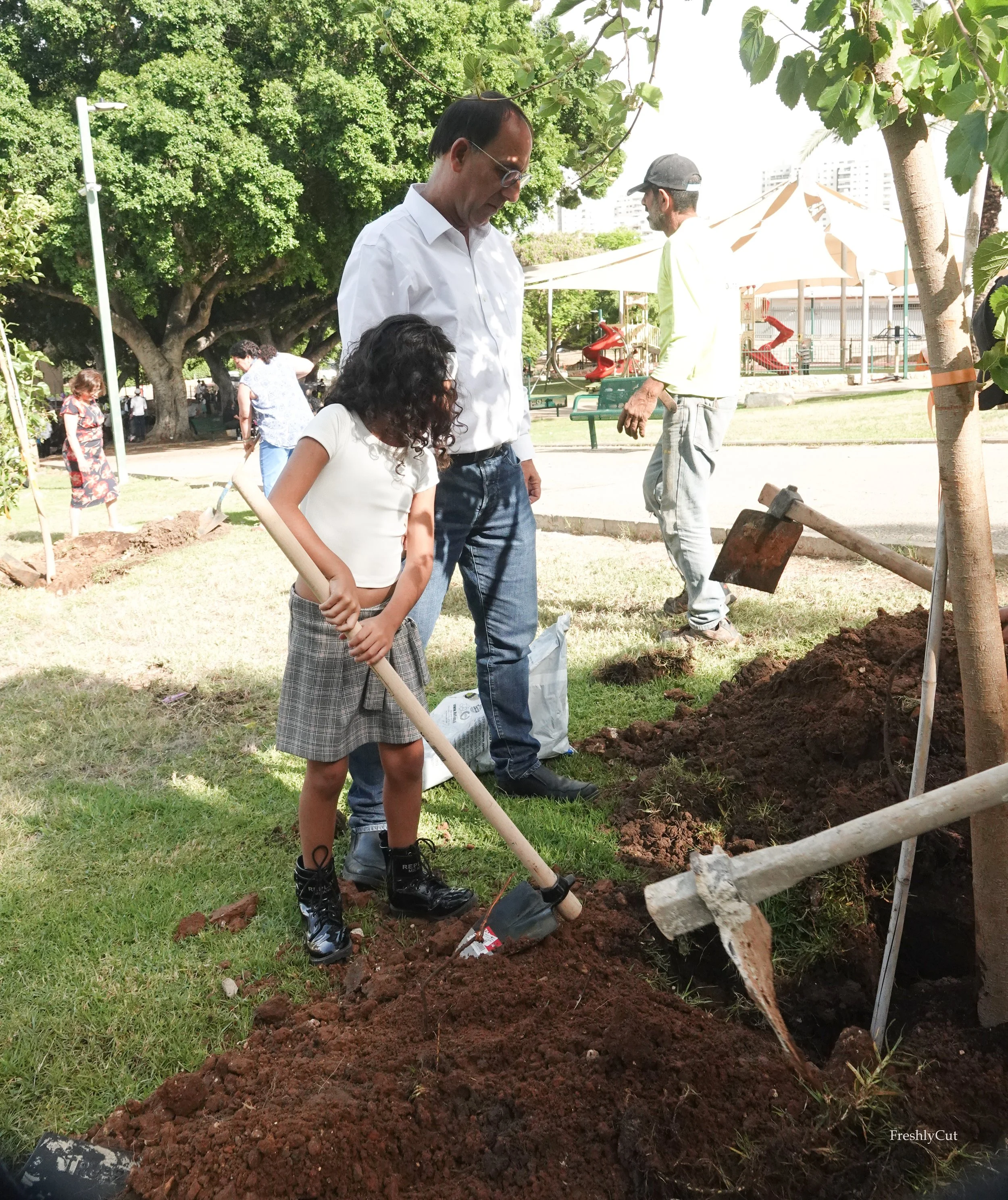 Israel During the War