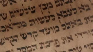 Image 0 Torah Image 3.jpeg