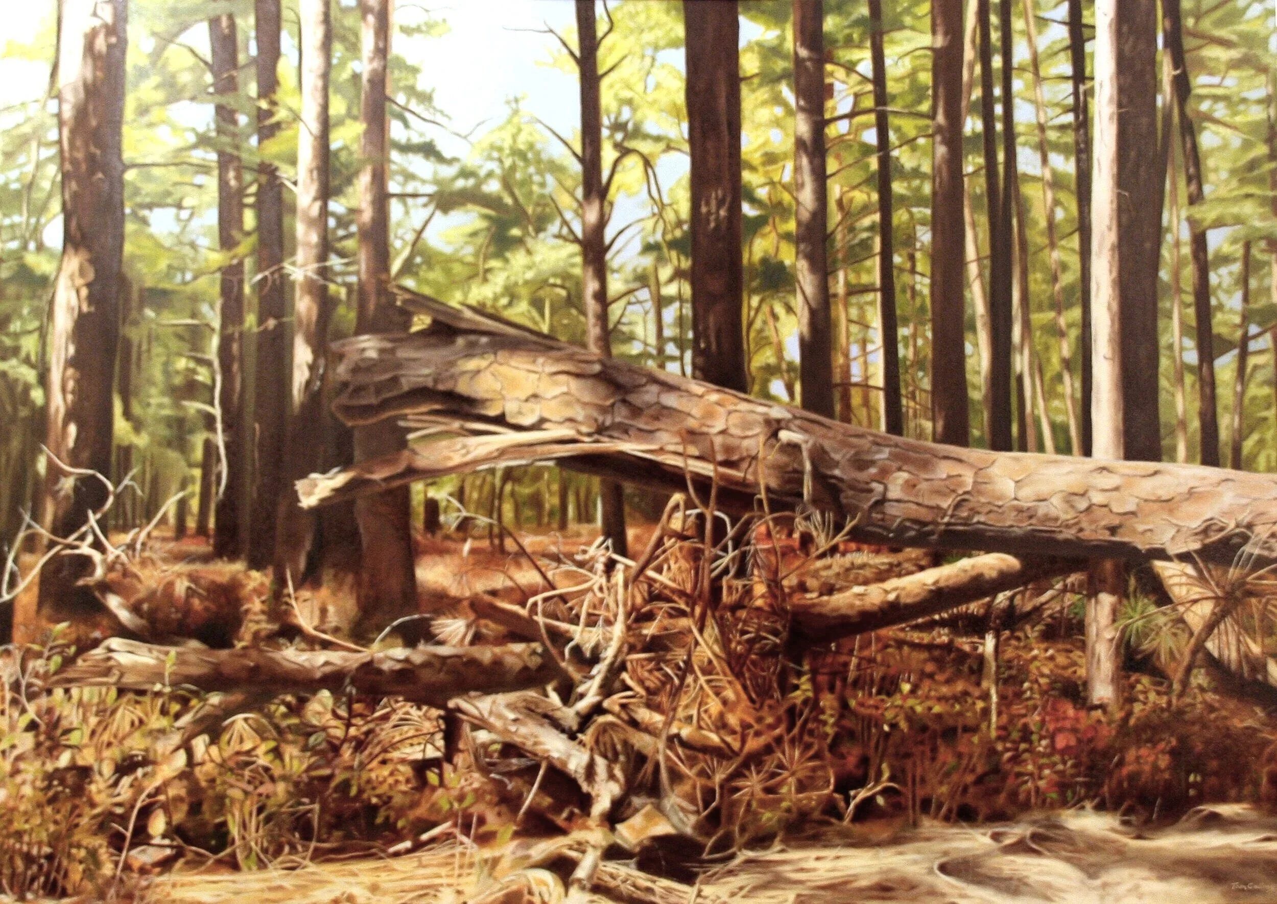 Windfall