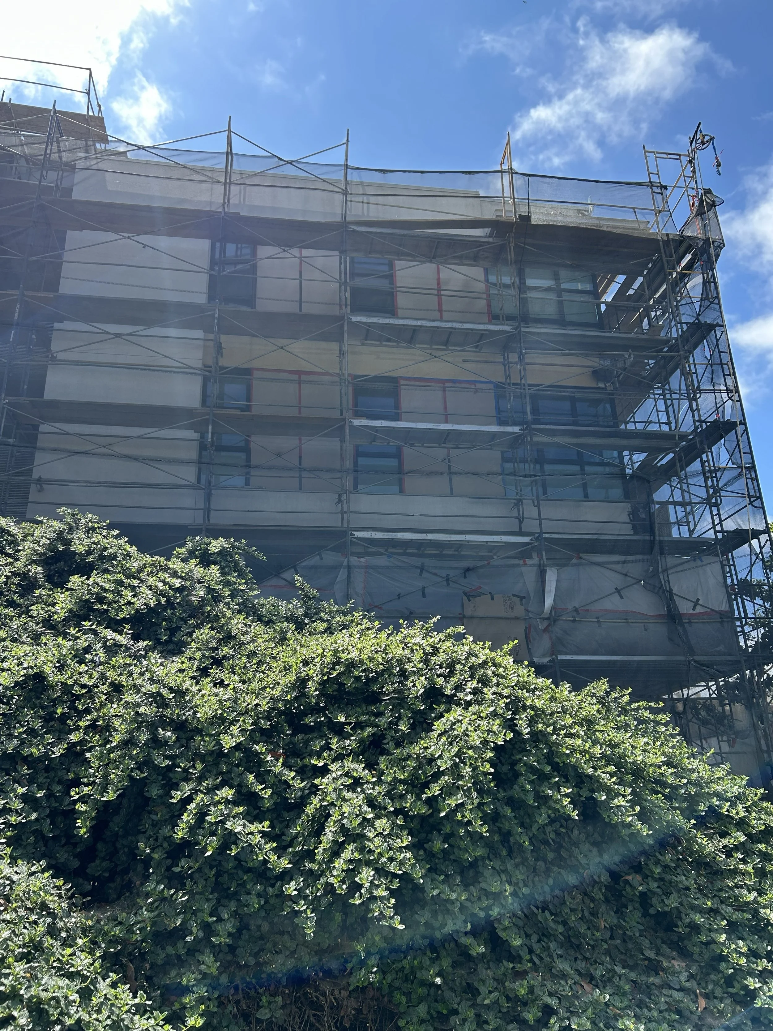 Bush Wall Before .jpg