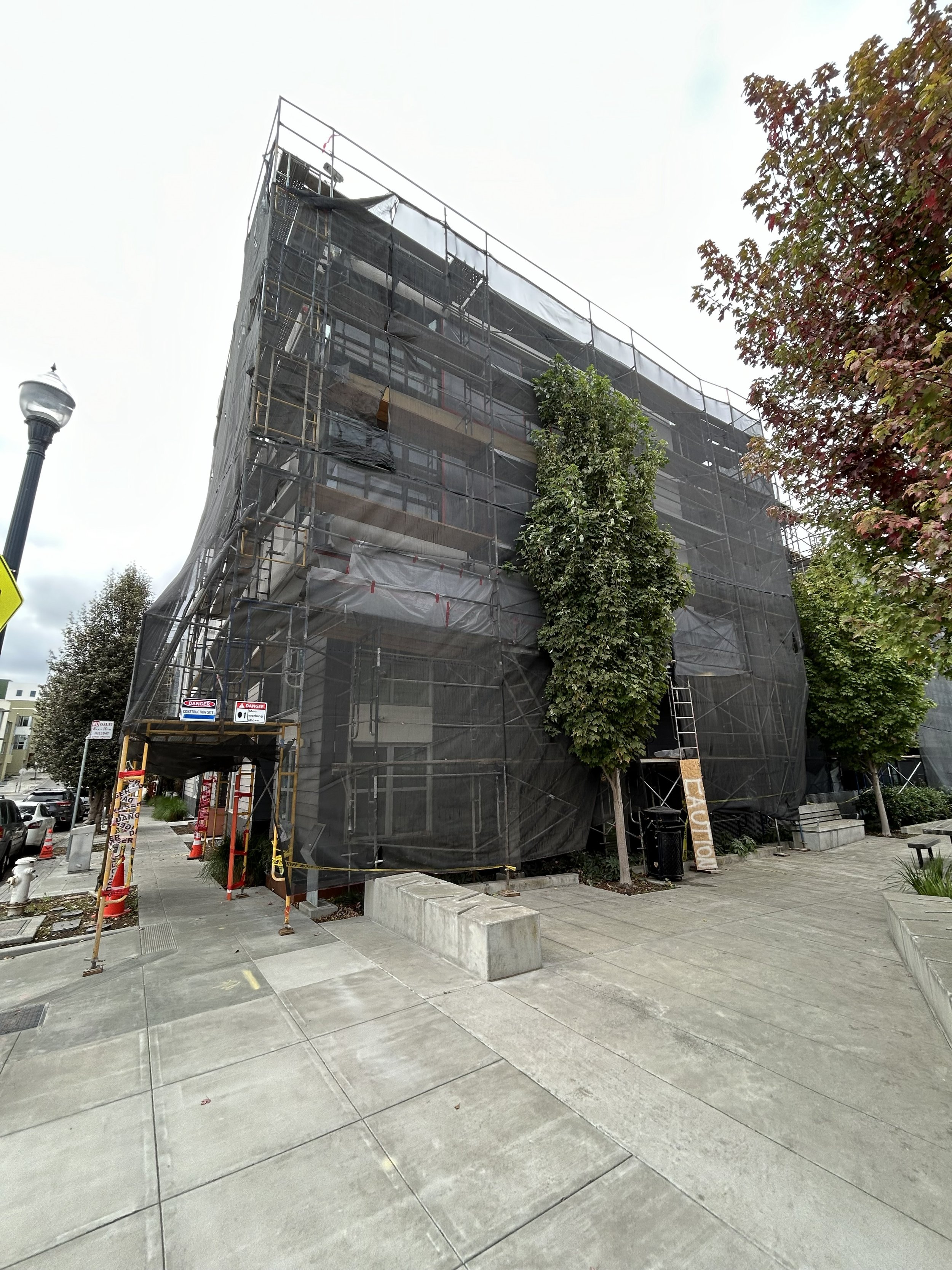 Backside Picture Before.jpg