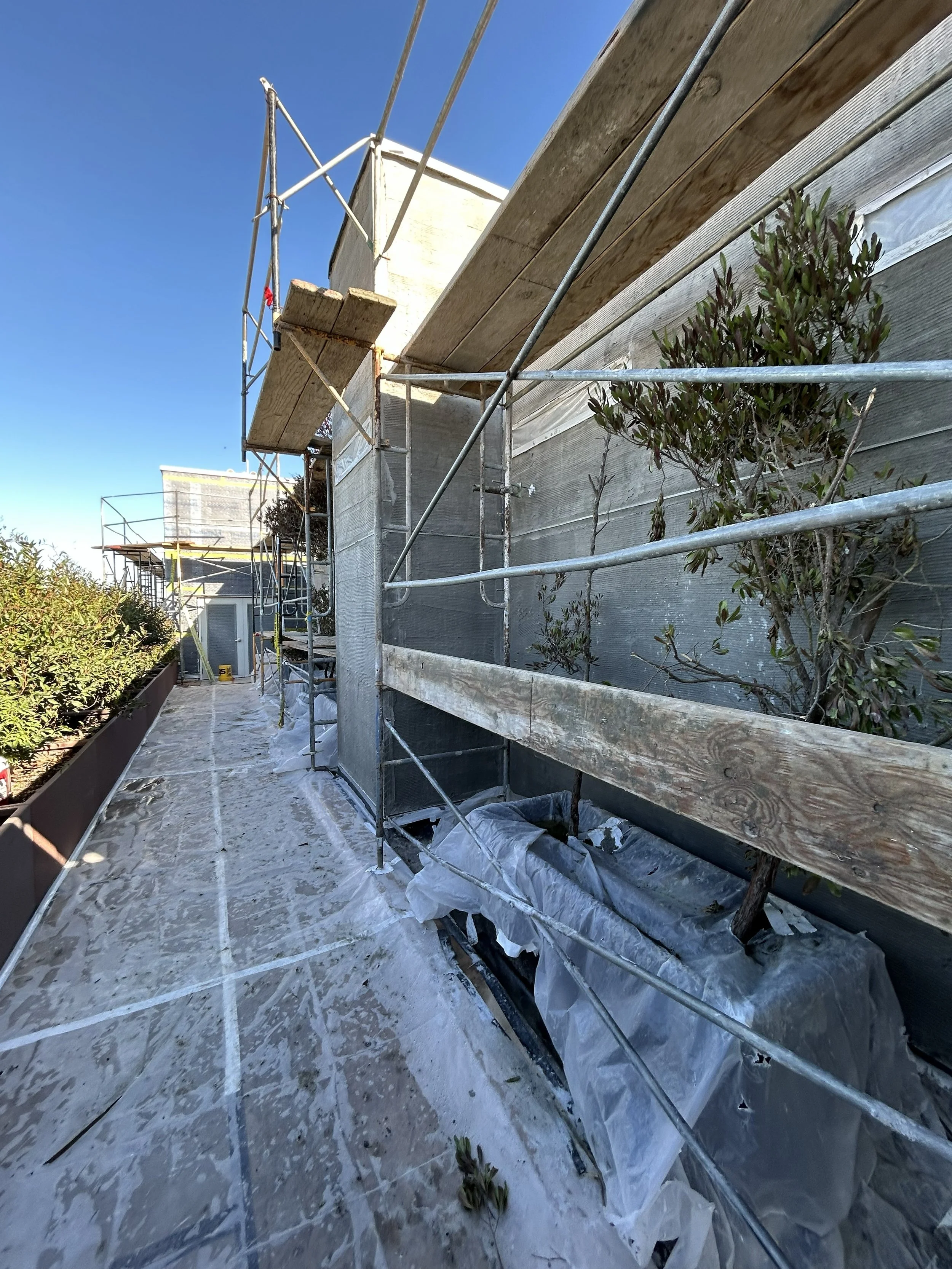 Roof Picture Before.jpg