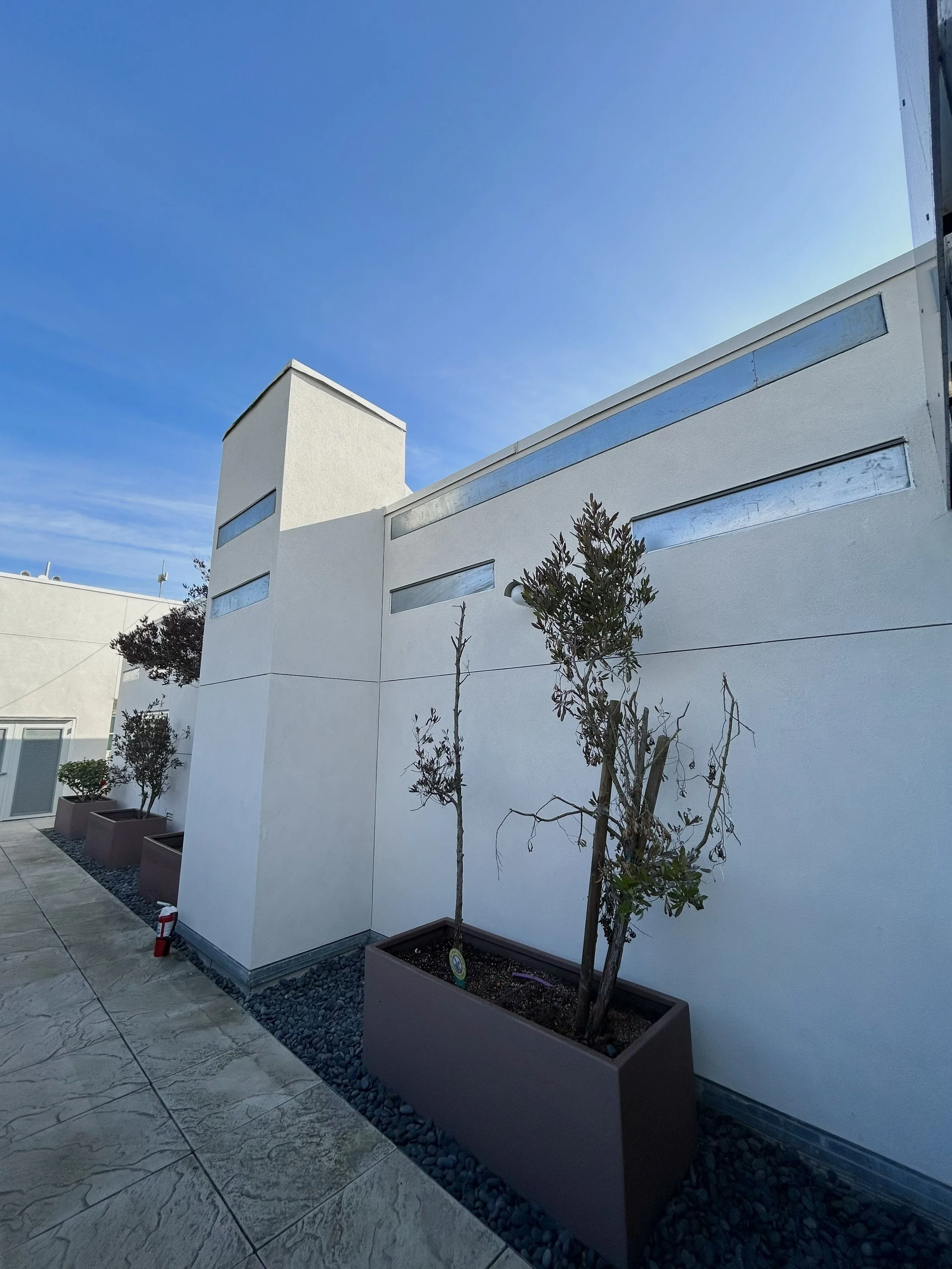 Roof Picture after.jpg