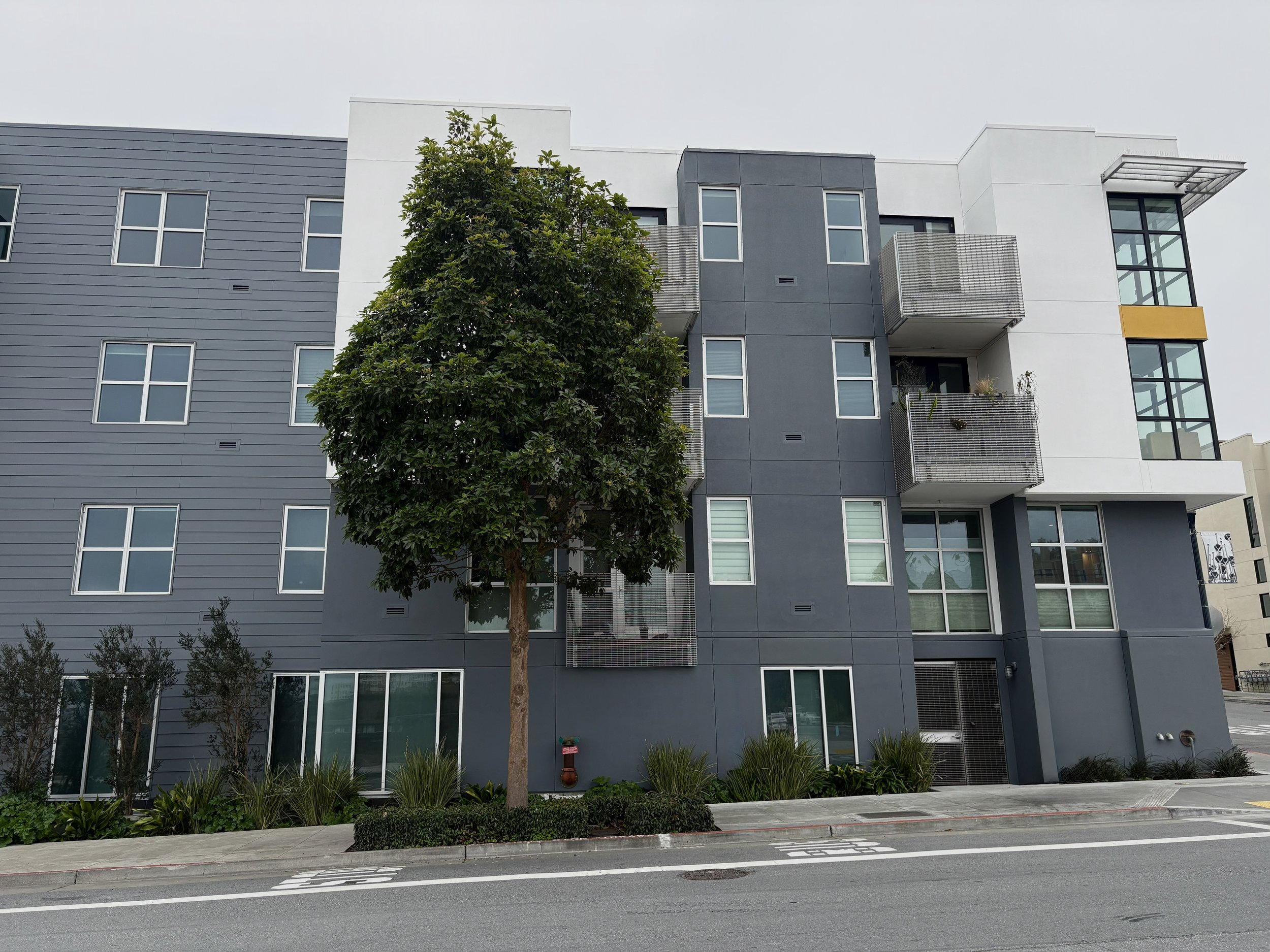 Entrance Wall Zoomed In After.jpg