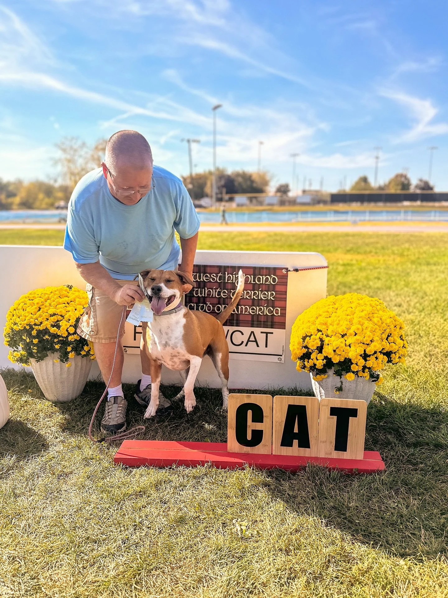 Days like these make it all so, so worth it.  I’ll train your dog any day, but what I really want to do is open up their world, empower them, show them how to be DOGS.  Daisy has changed so much since I first met her, her owners put in the work