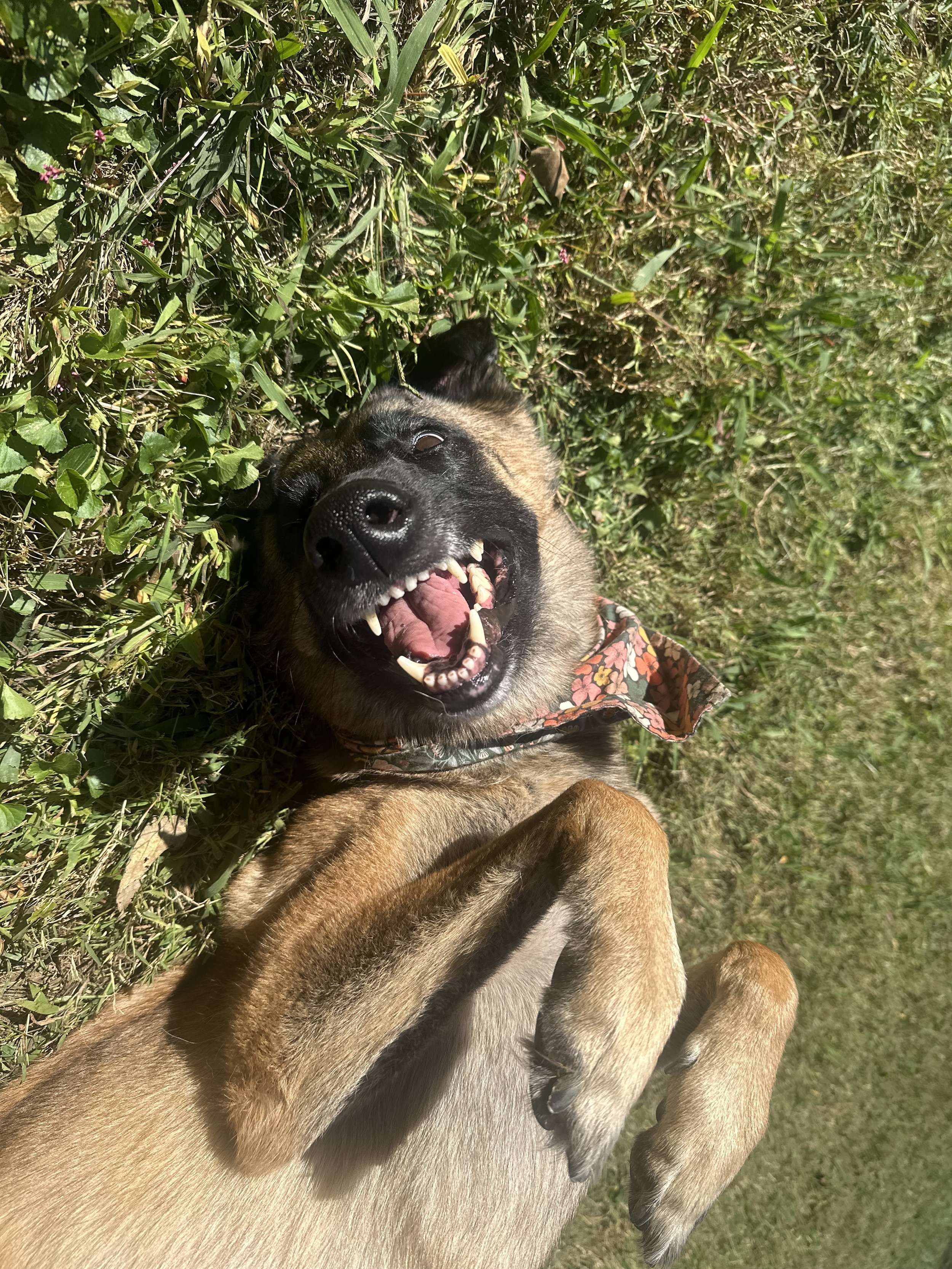 “Ready” and “Enough”- The Foundation