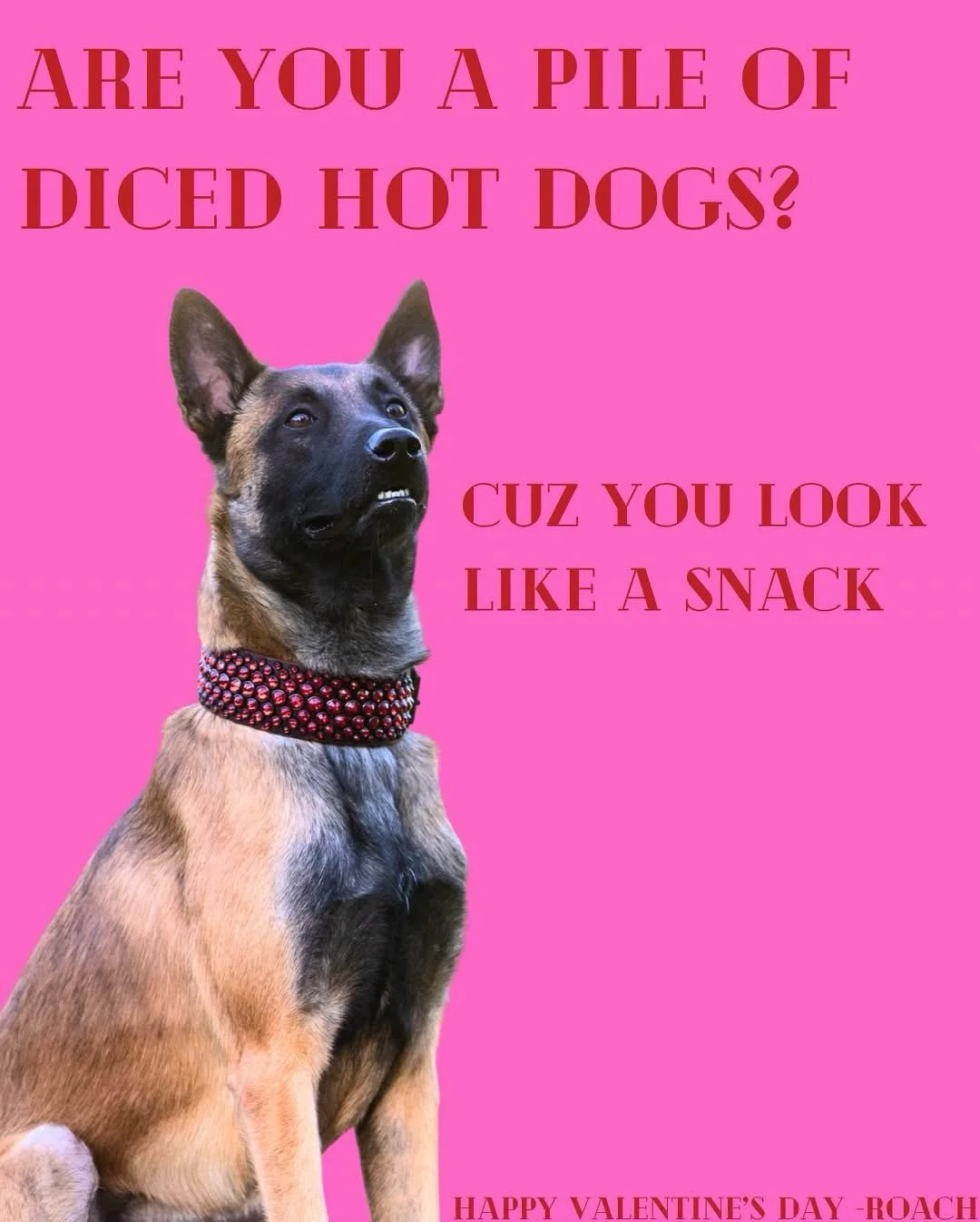 Happy Valentine&rsquo;s Day from the Fetch Happens crew 💕