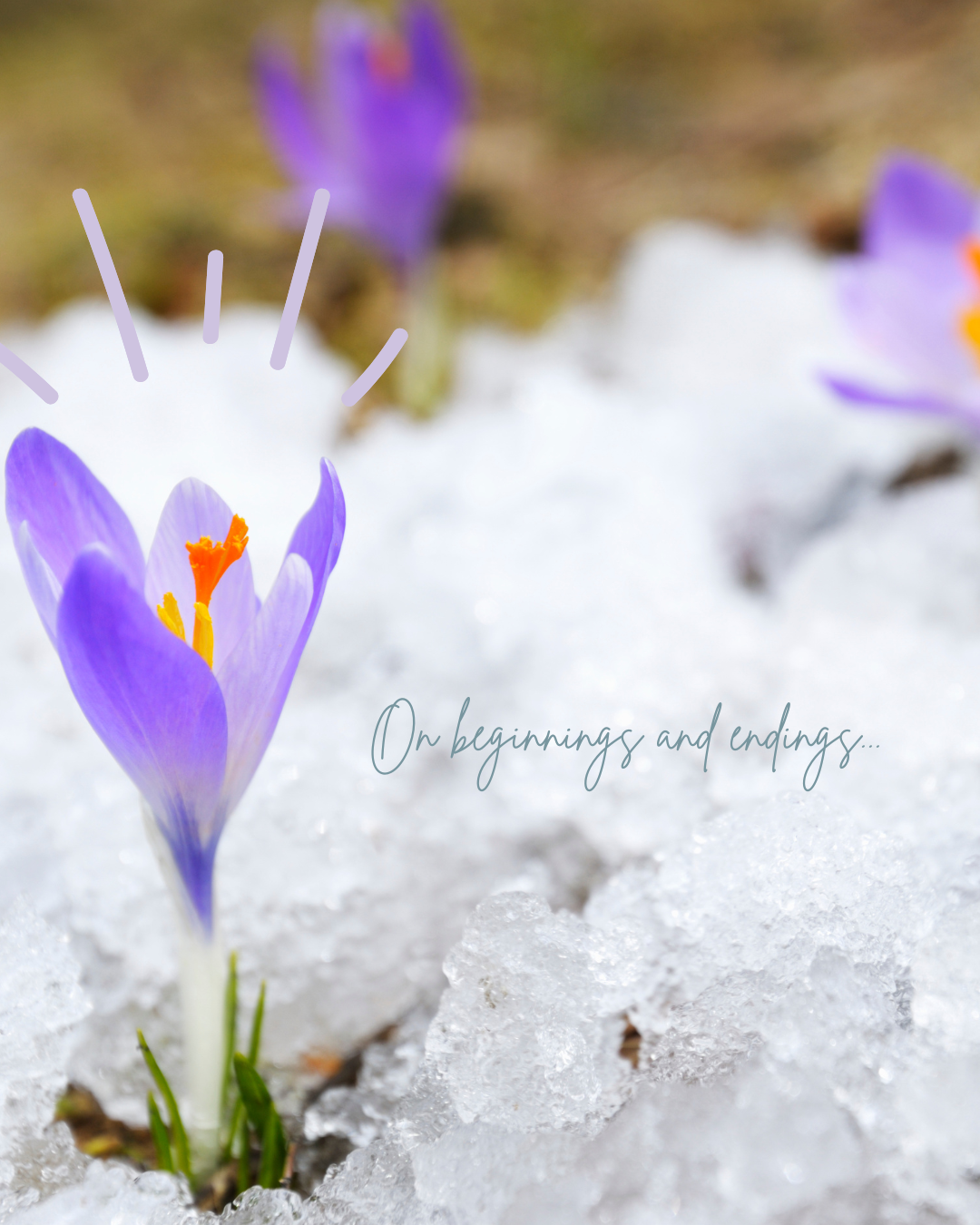 When the Boundaries Dissolve (And New Beginnings Emerge)