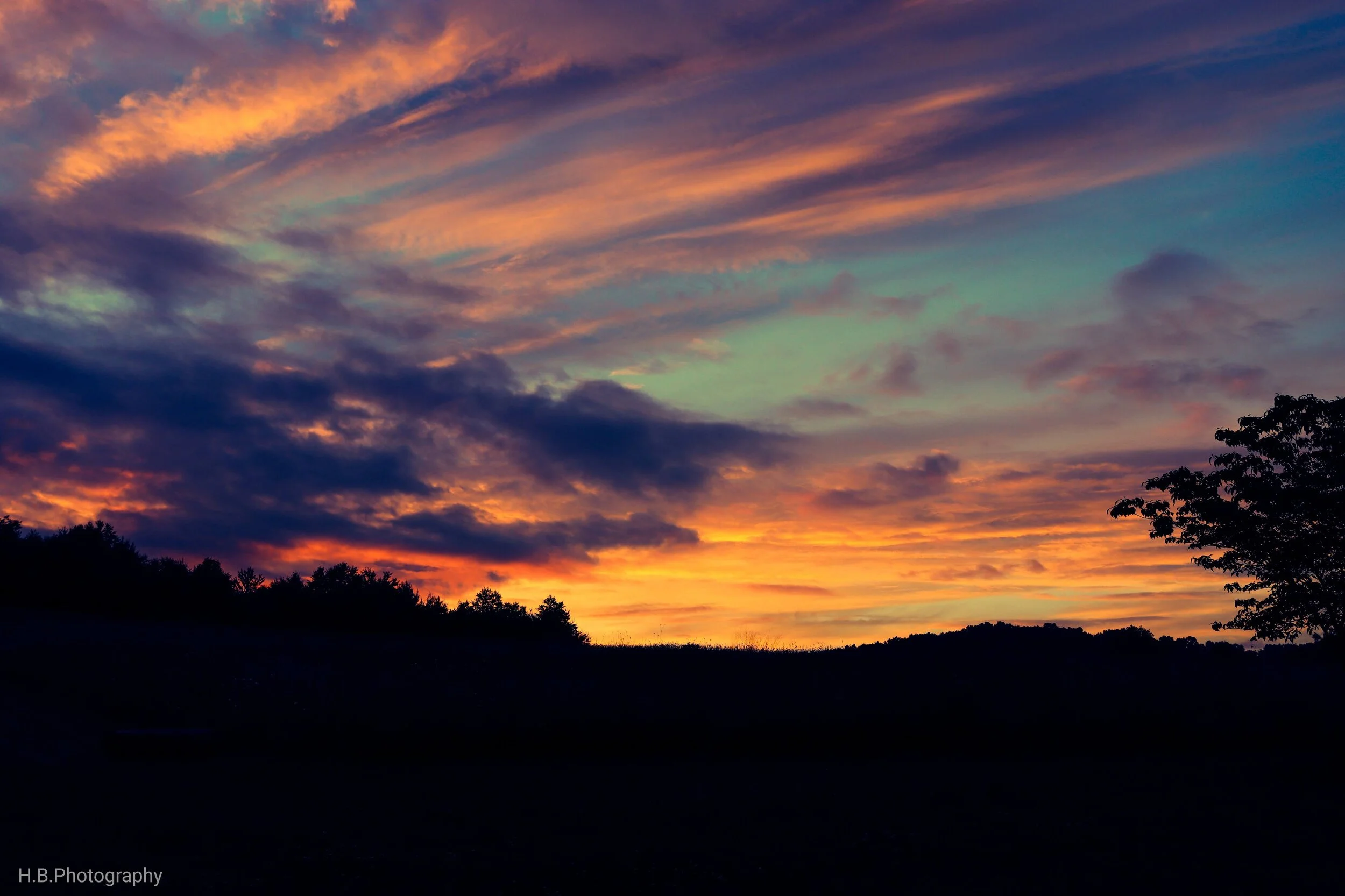 Landscapes and Sunsets