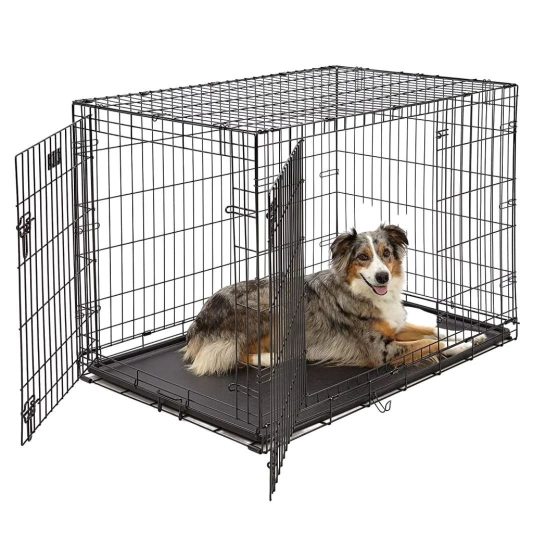 Shop — Rachel Fusaro