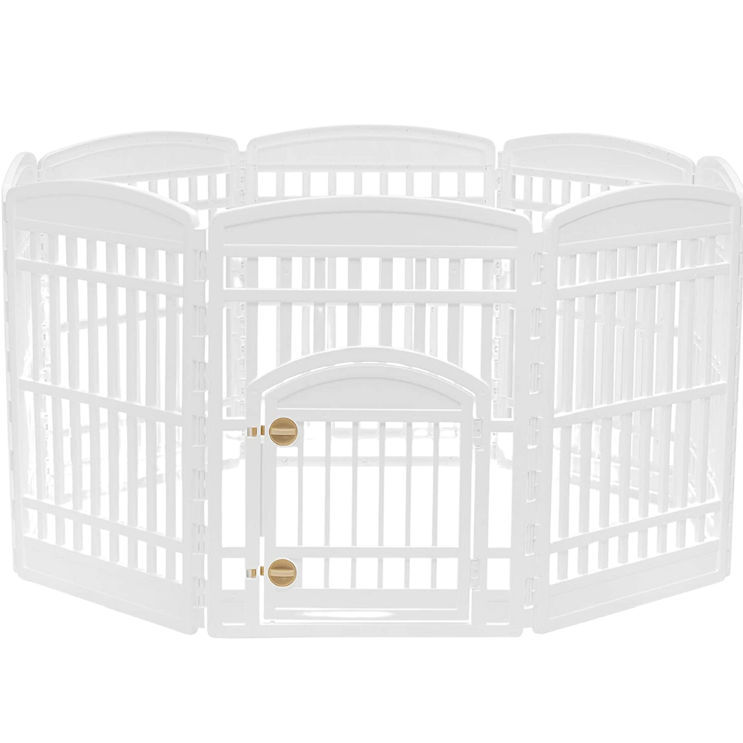 Shop — Rachel Fusaro