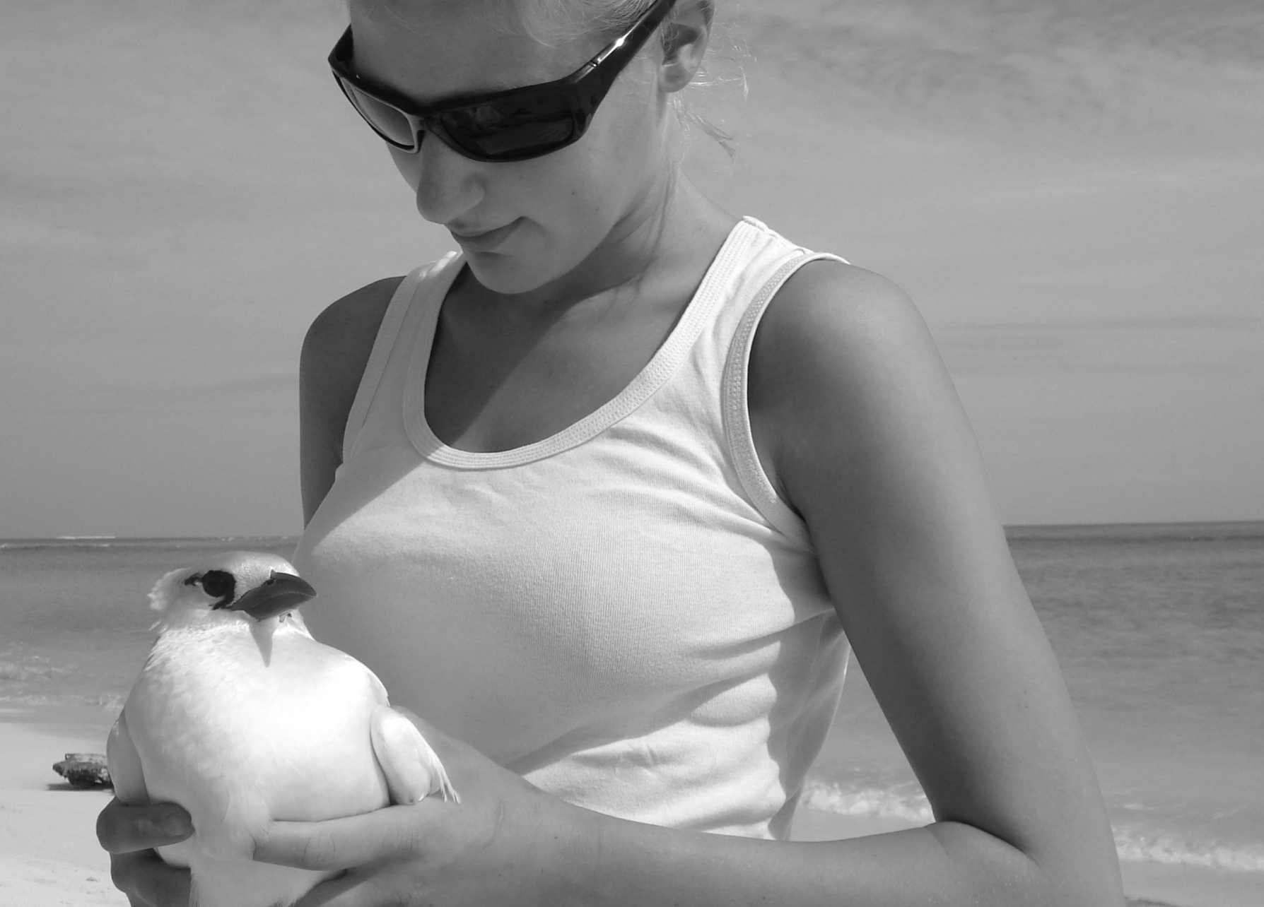 Screen Shot 2022-08-10 at 10.20.19 AM.png