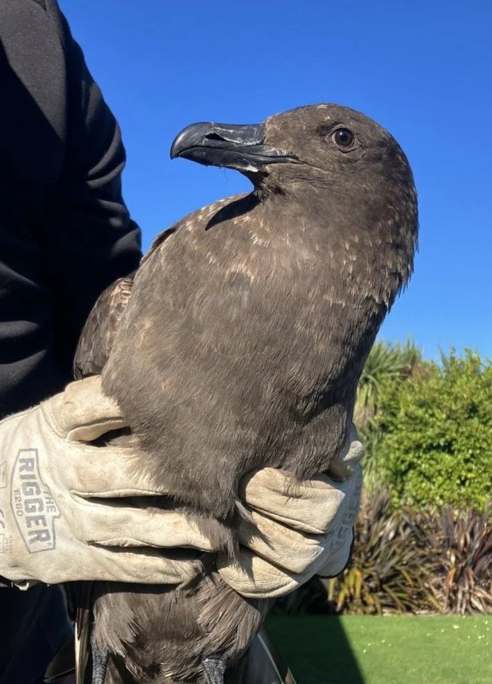 e7b723b4-73c3-46ac-9d9a-fddd884662b1 2.jpg