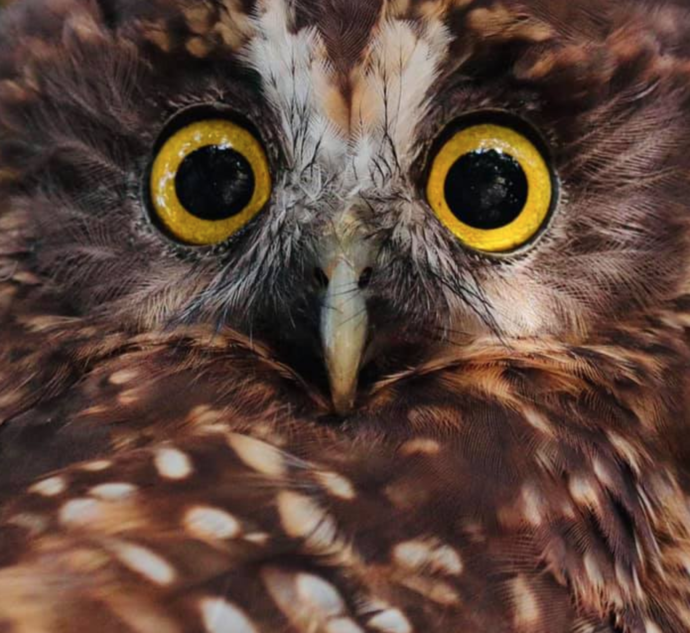 Screen Shot 2022-05-09 at 12.08.22 PM.png